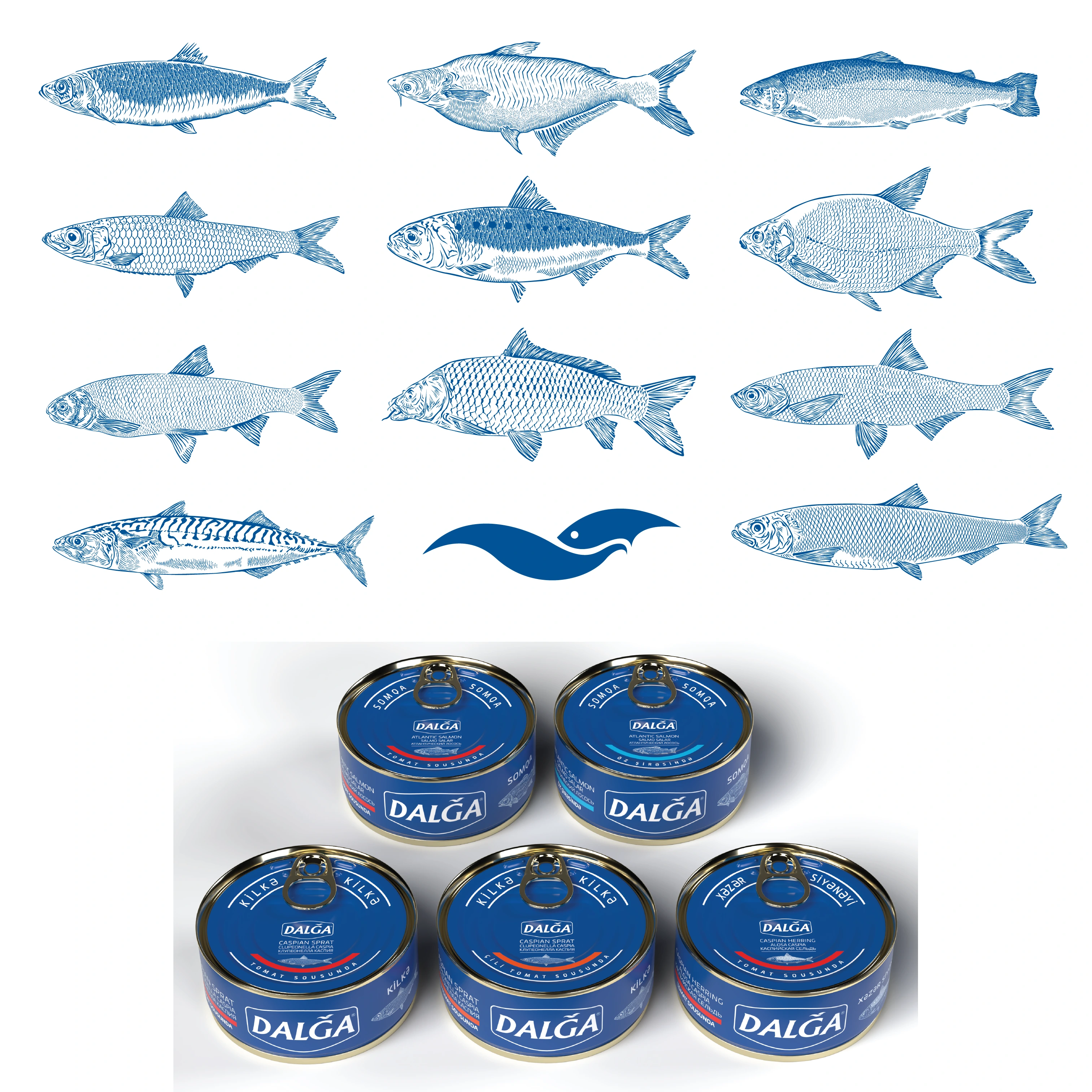 Fish illustrations for the brand