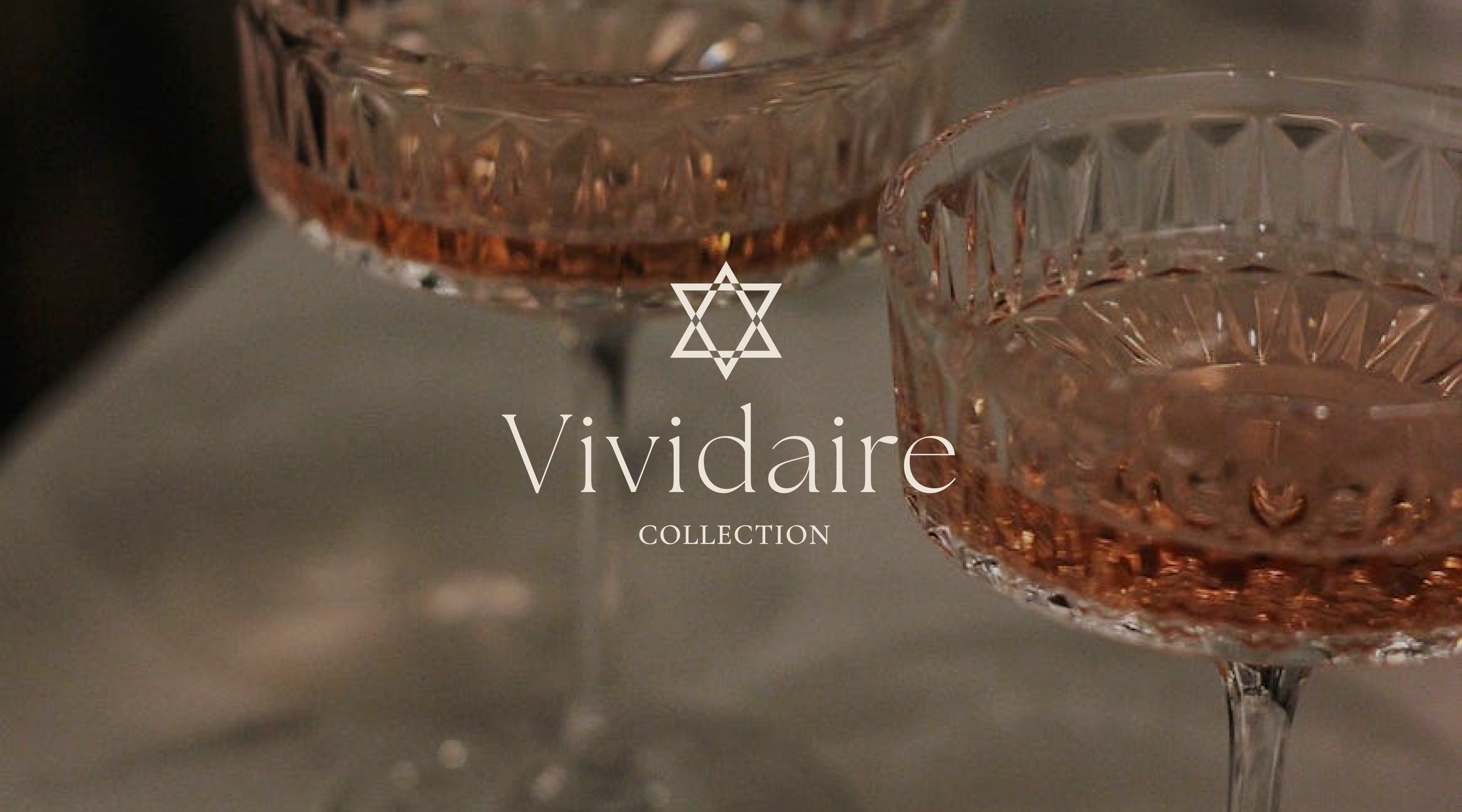 Vividaire's Brand Identity