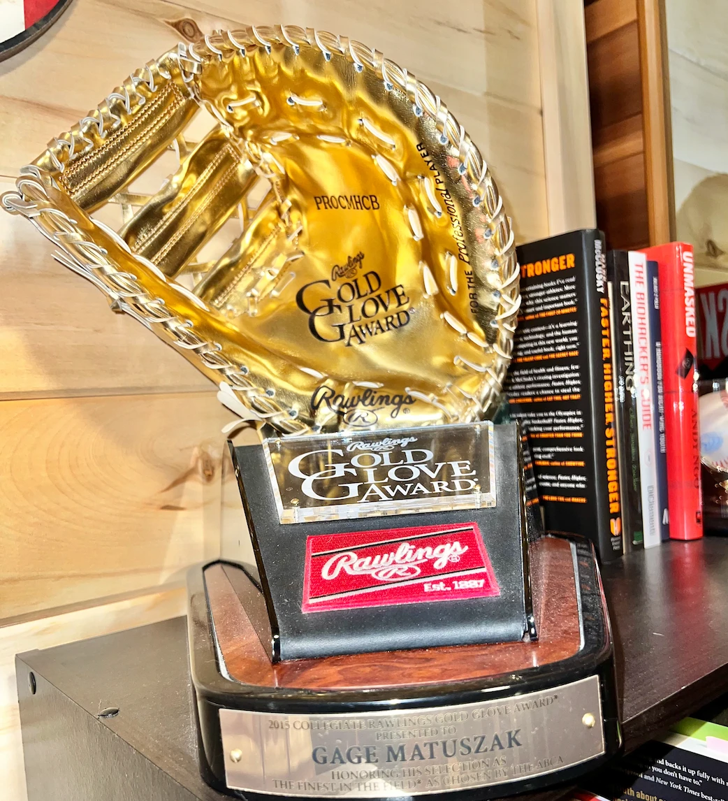 2015 Rawlings Gold Glove That Sits In My Office