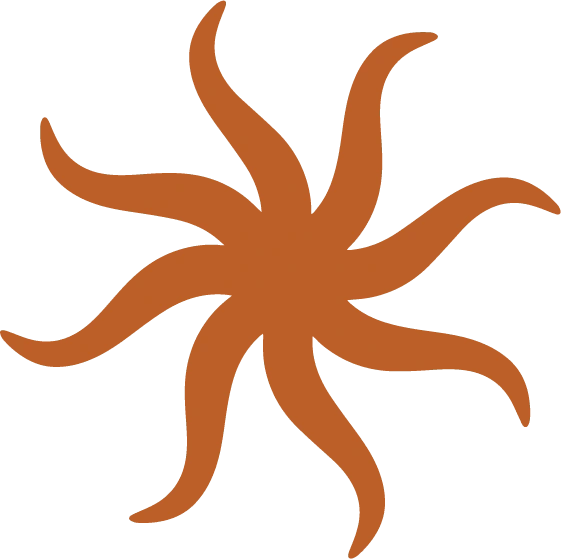 The sun illustration asset, in the brand color 'cinnamon'.