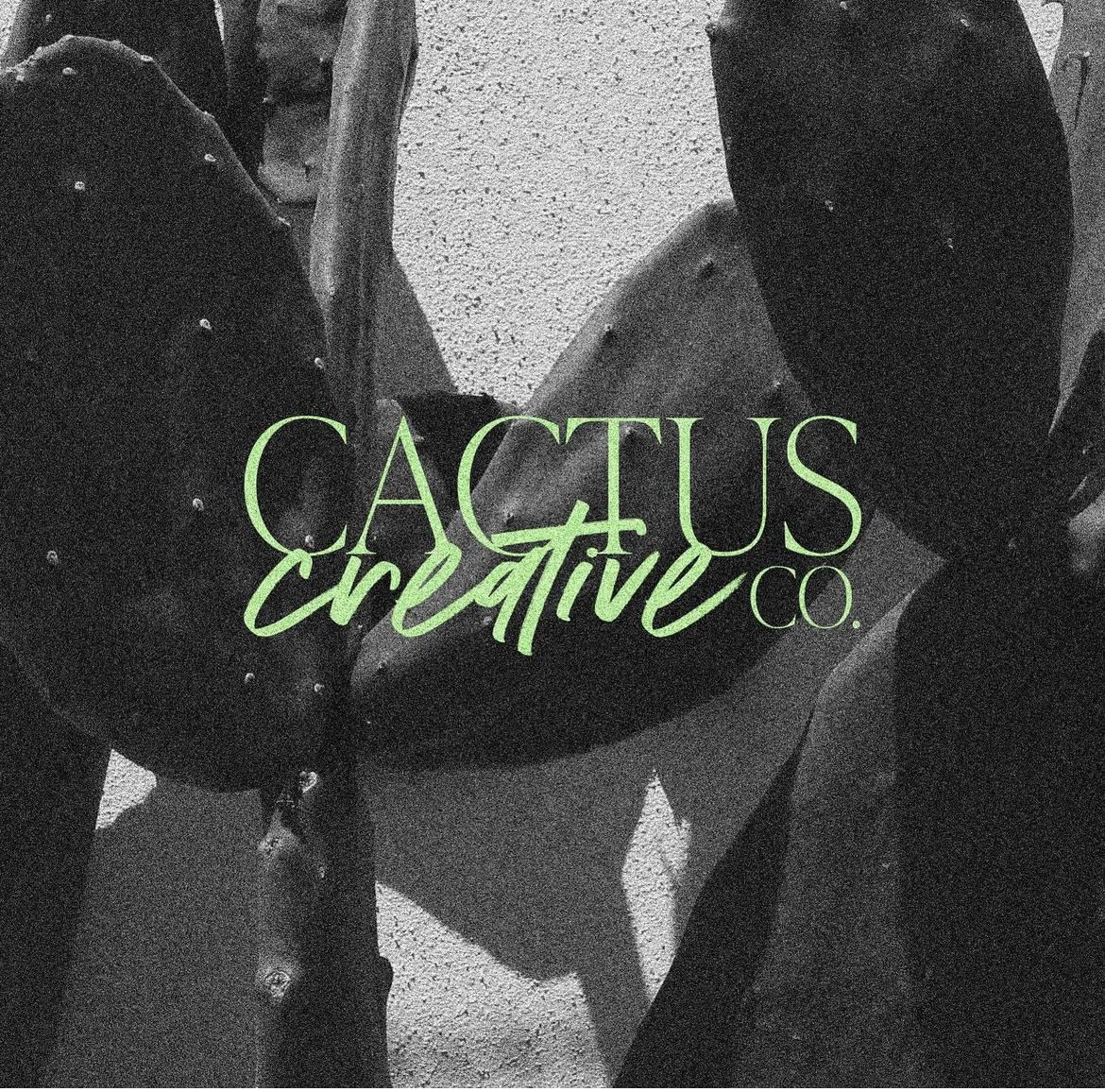 CACTUS CREATIVE CO. BRANDING | DESIGNER: ASHLEY CORBIN