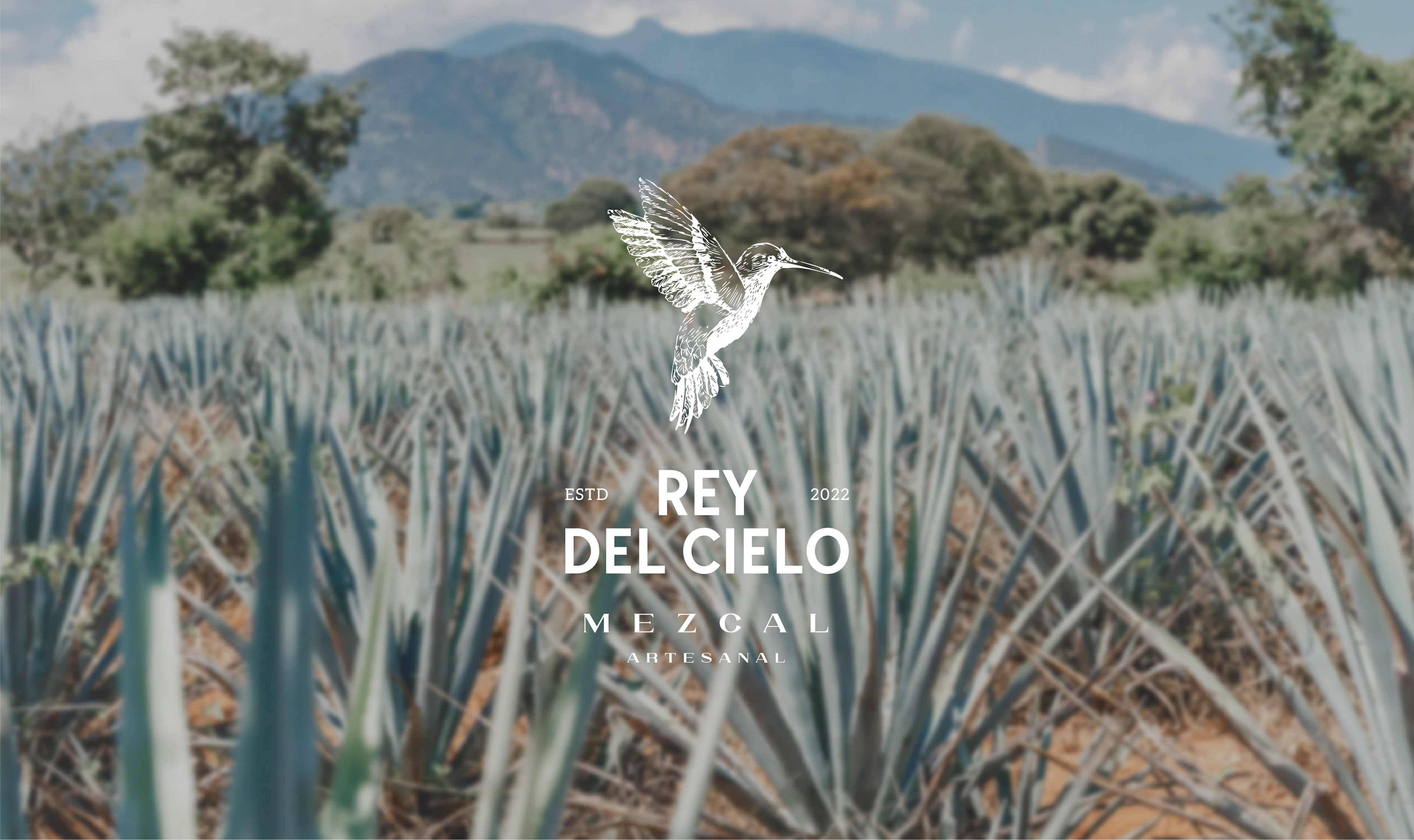 Rey del Cielo Mezcal • Logo