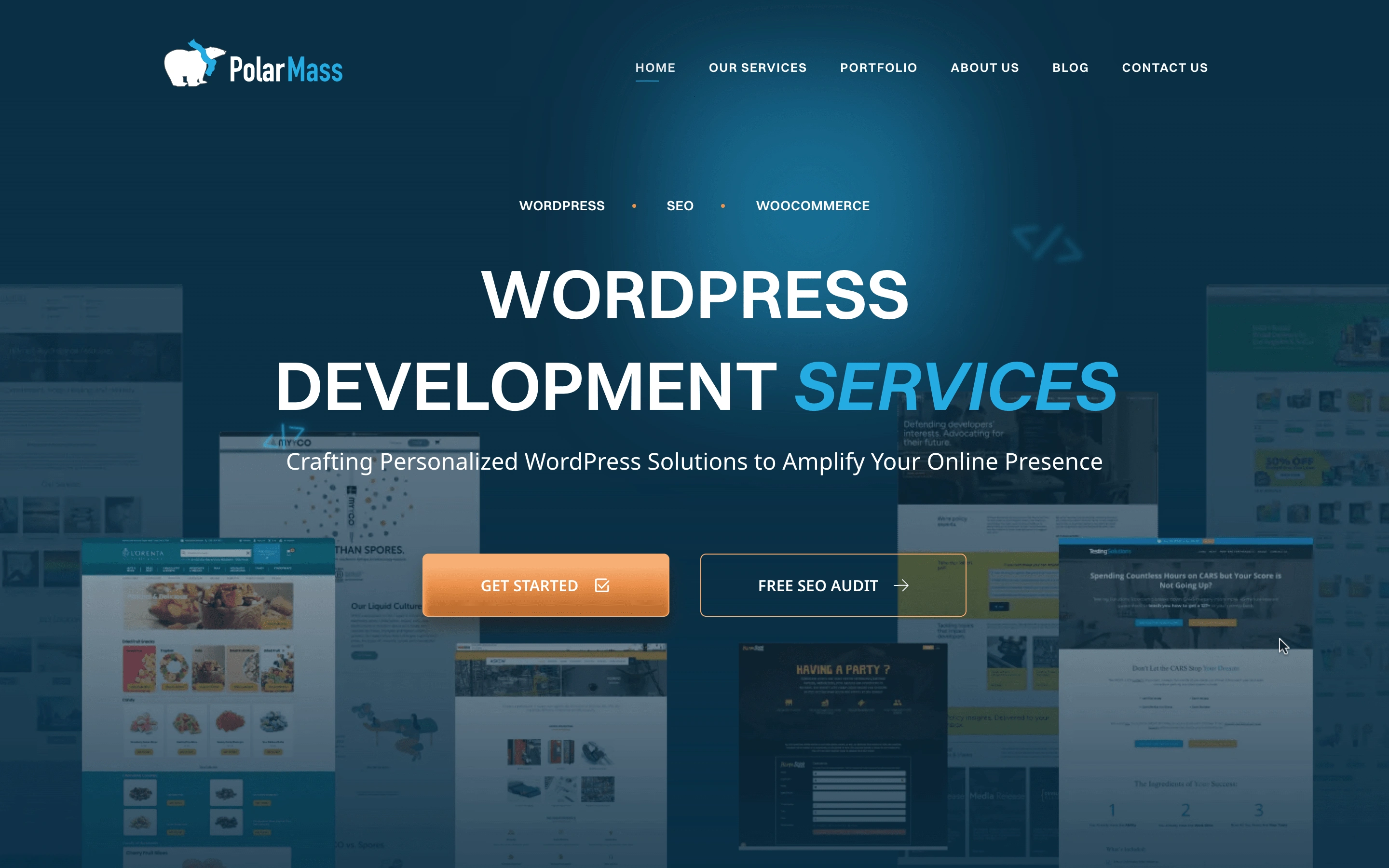 PolarMass Landing Page