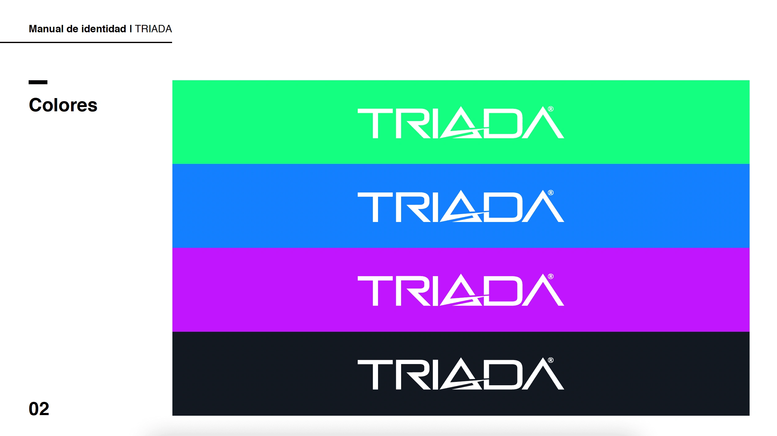 Color pallet for the new brand