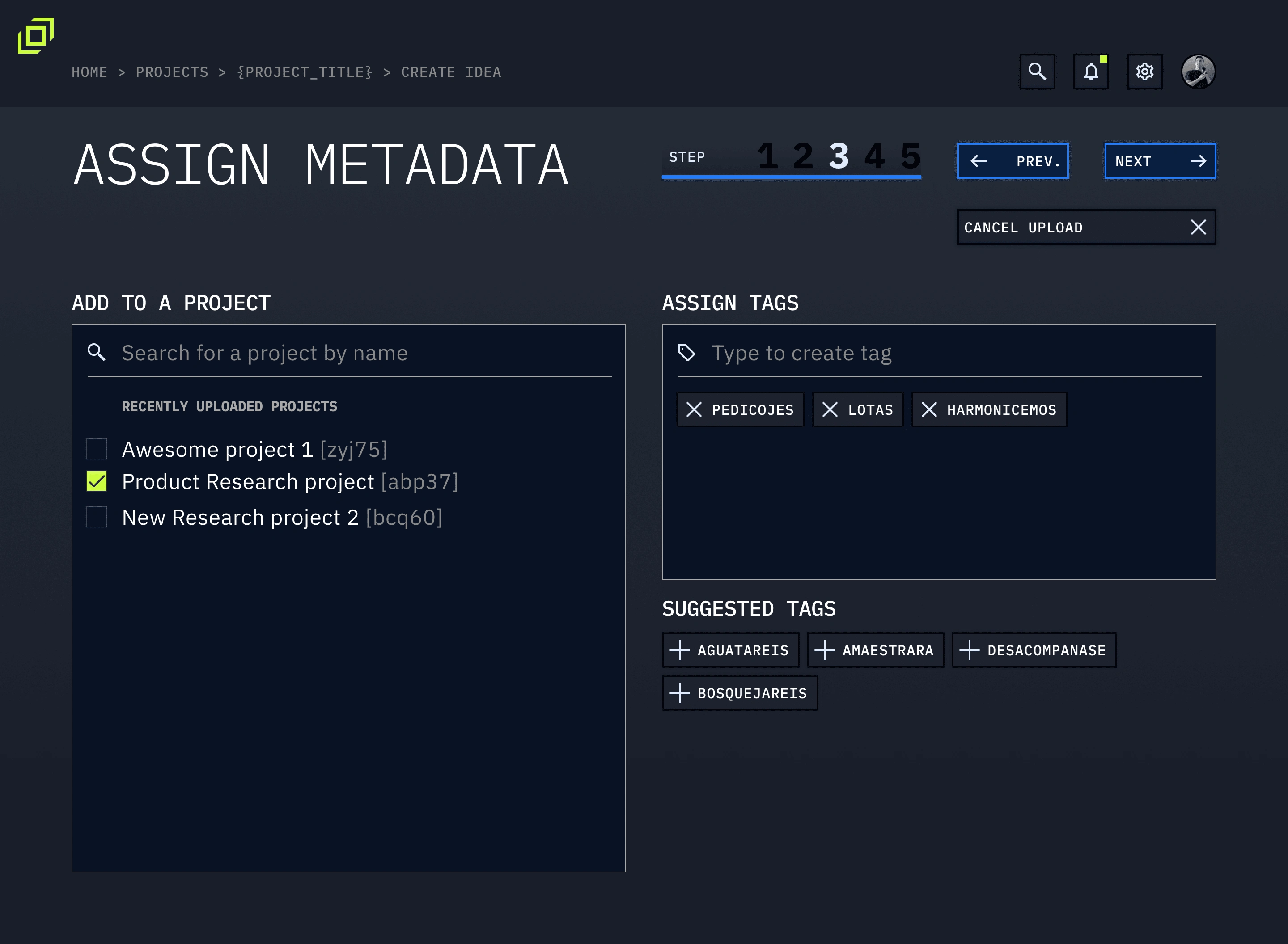 Assign metadata to an Idea