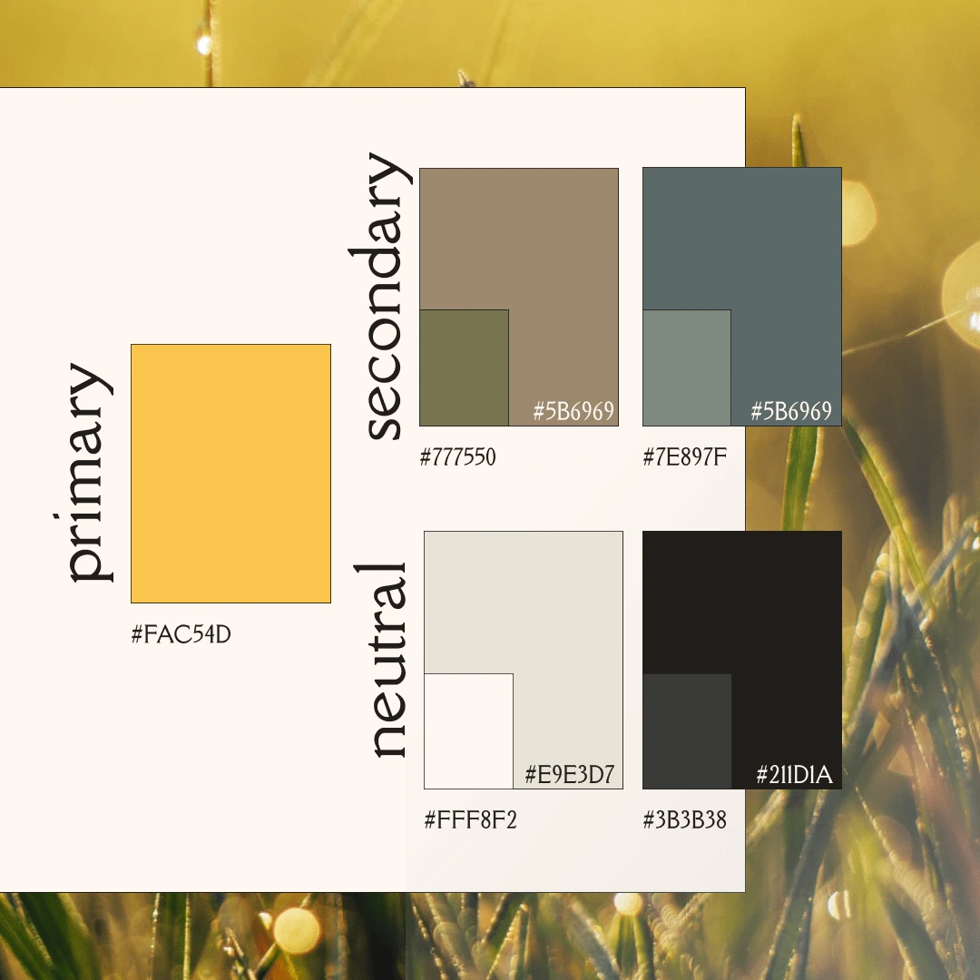 Brand Color Palette