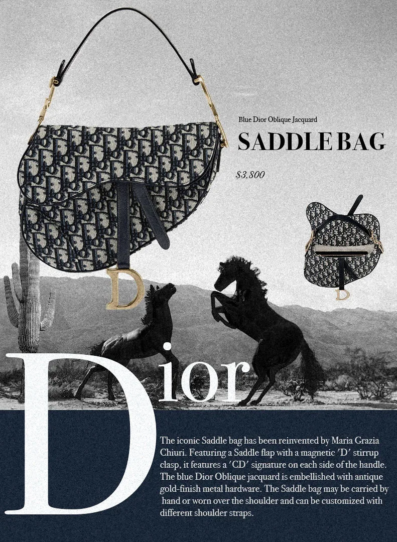 Editorial inspired Vintage Dior Saddle mock product ad 