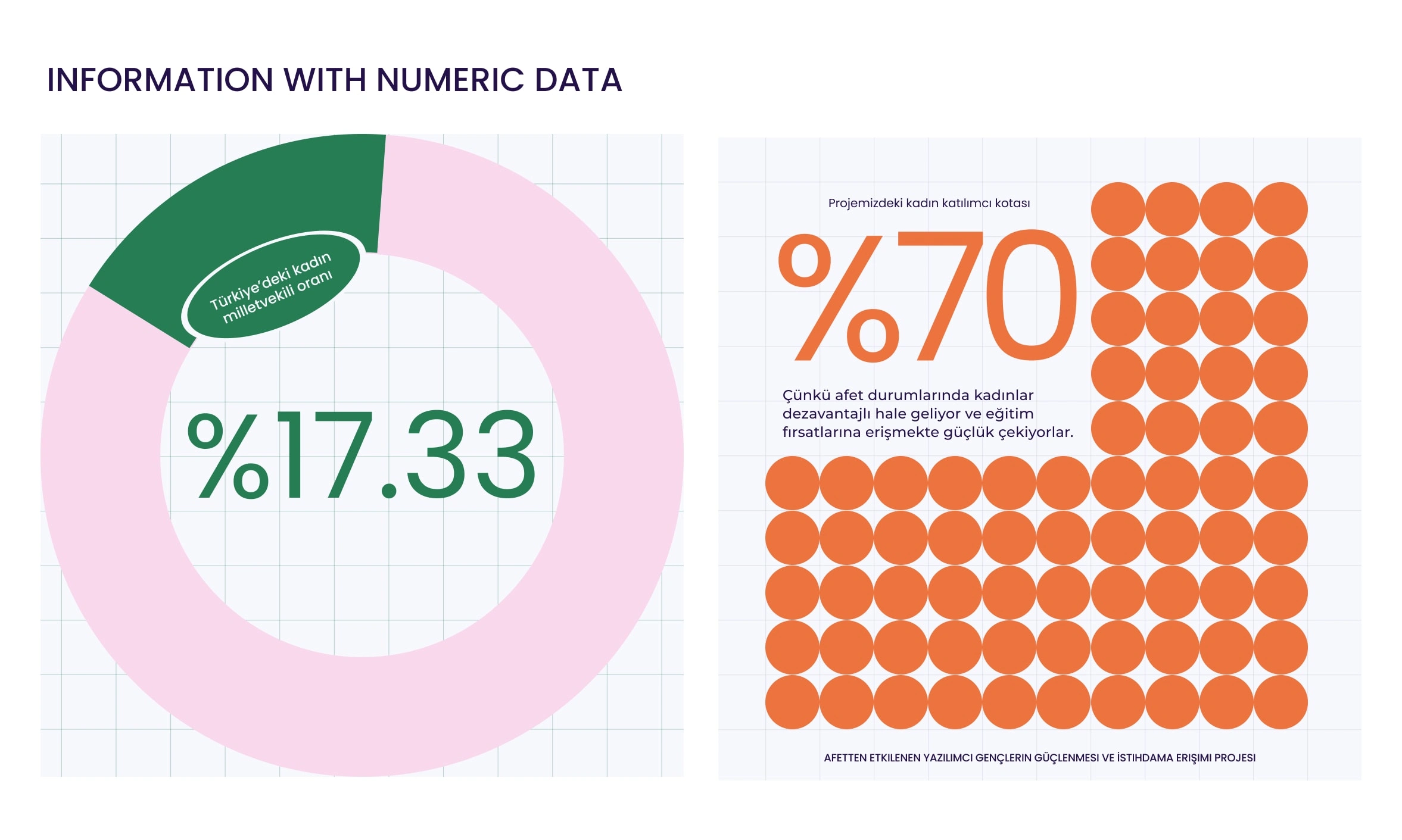 Numeric Data