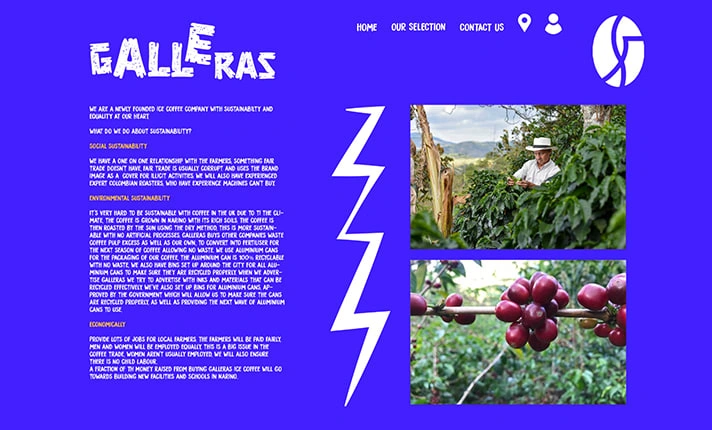 Galleras Website Design - About Us Page