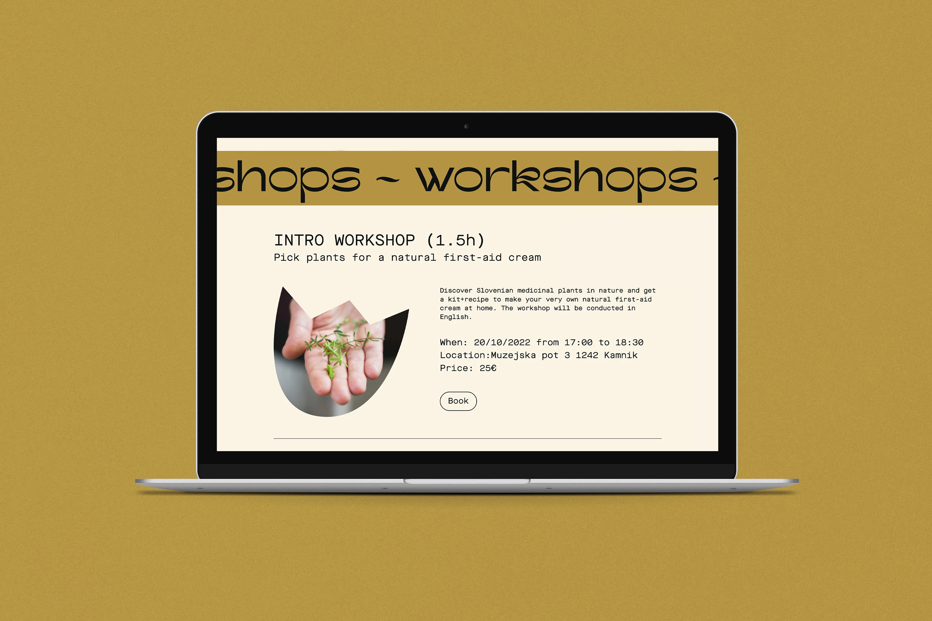 Workshops & Bookings