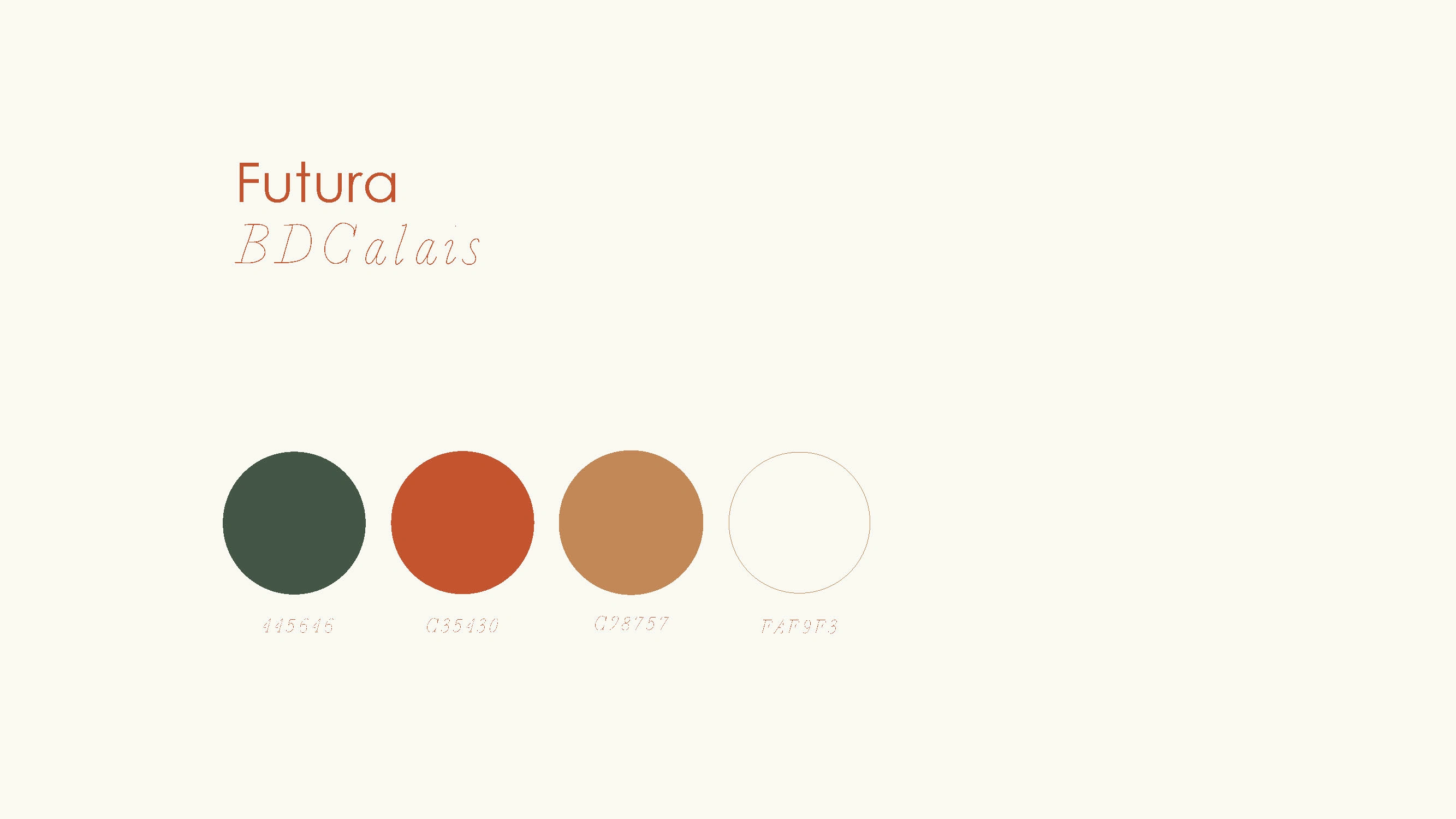 typography and color palette