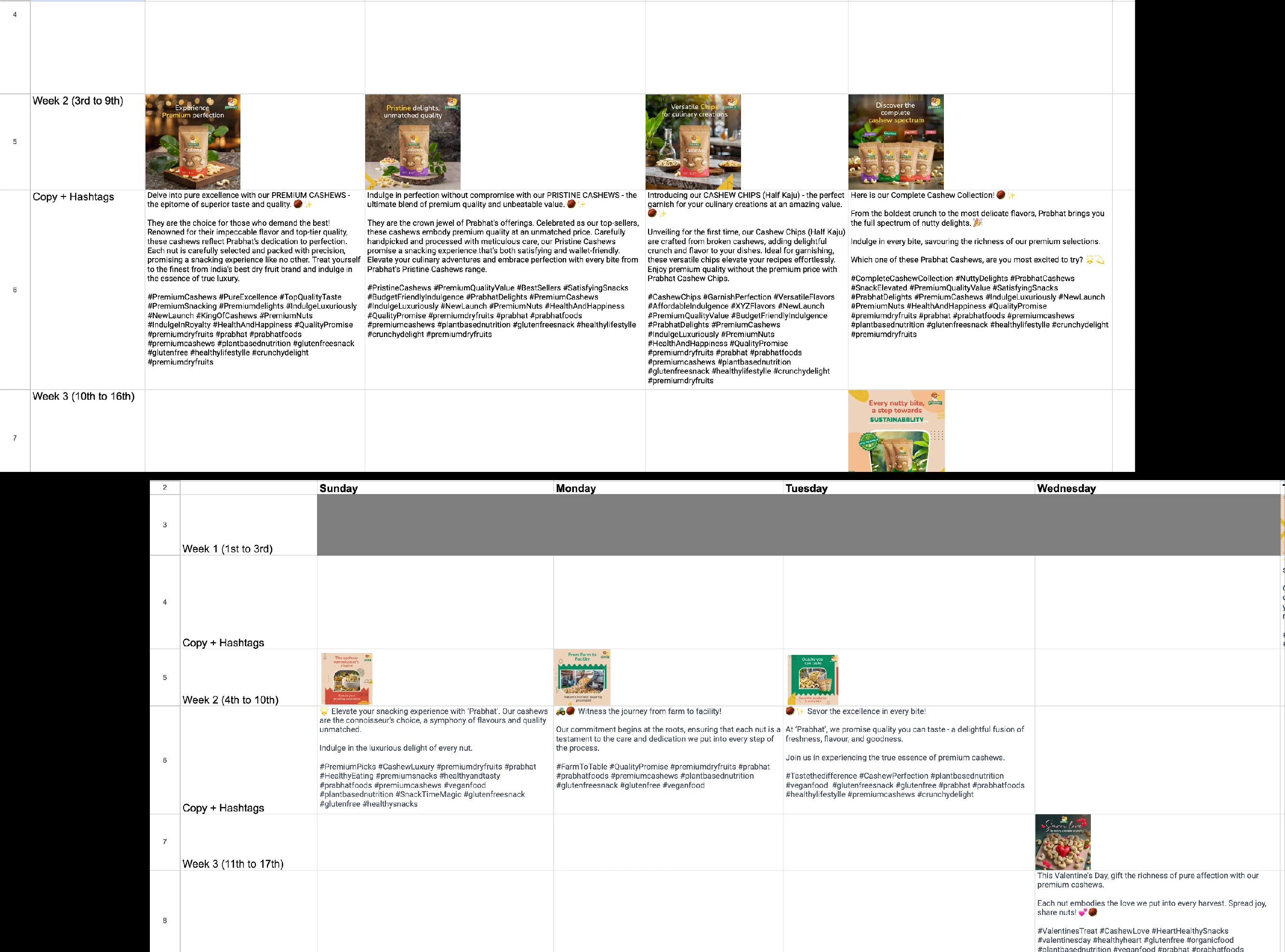 Content Calendar Planning, along with copy and relevant hashtags. 