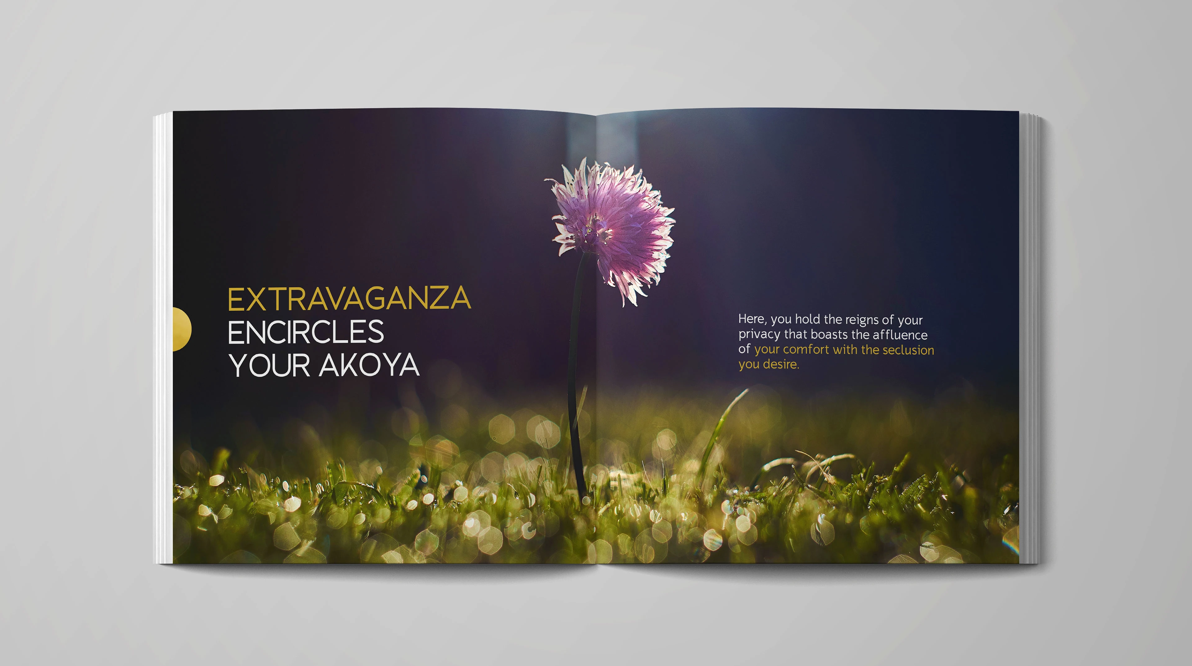 Brochure Design