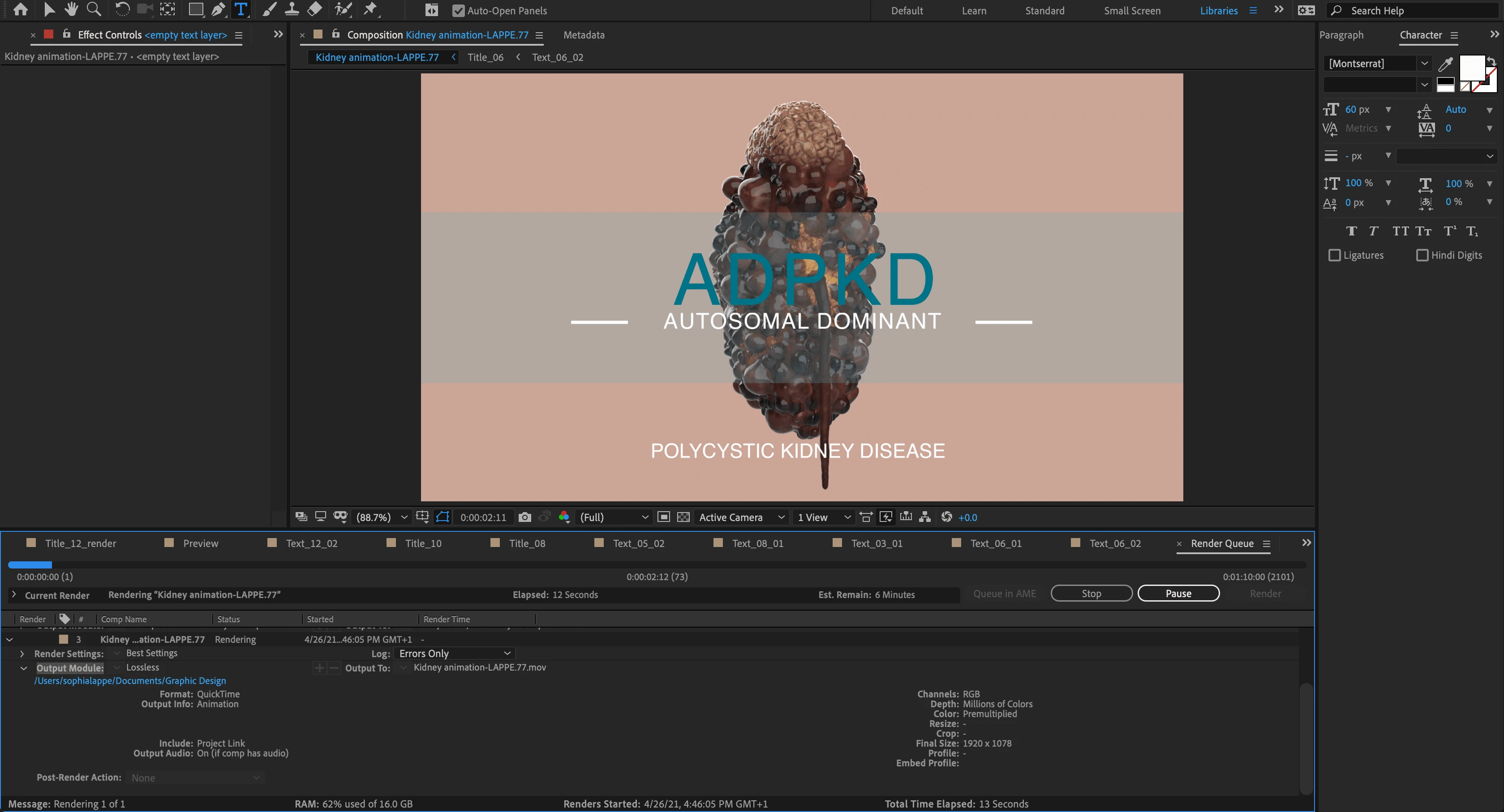 4. I used After Effects to combine all of my assets and make one cohesive animation. 