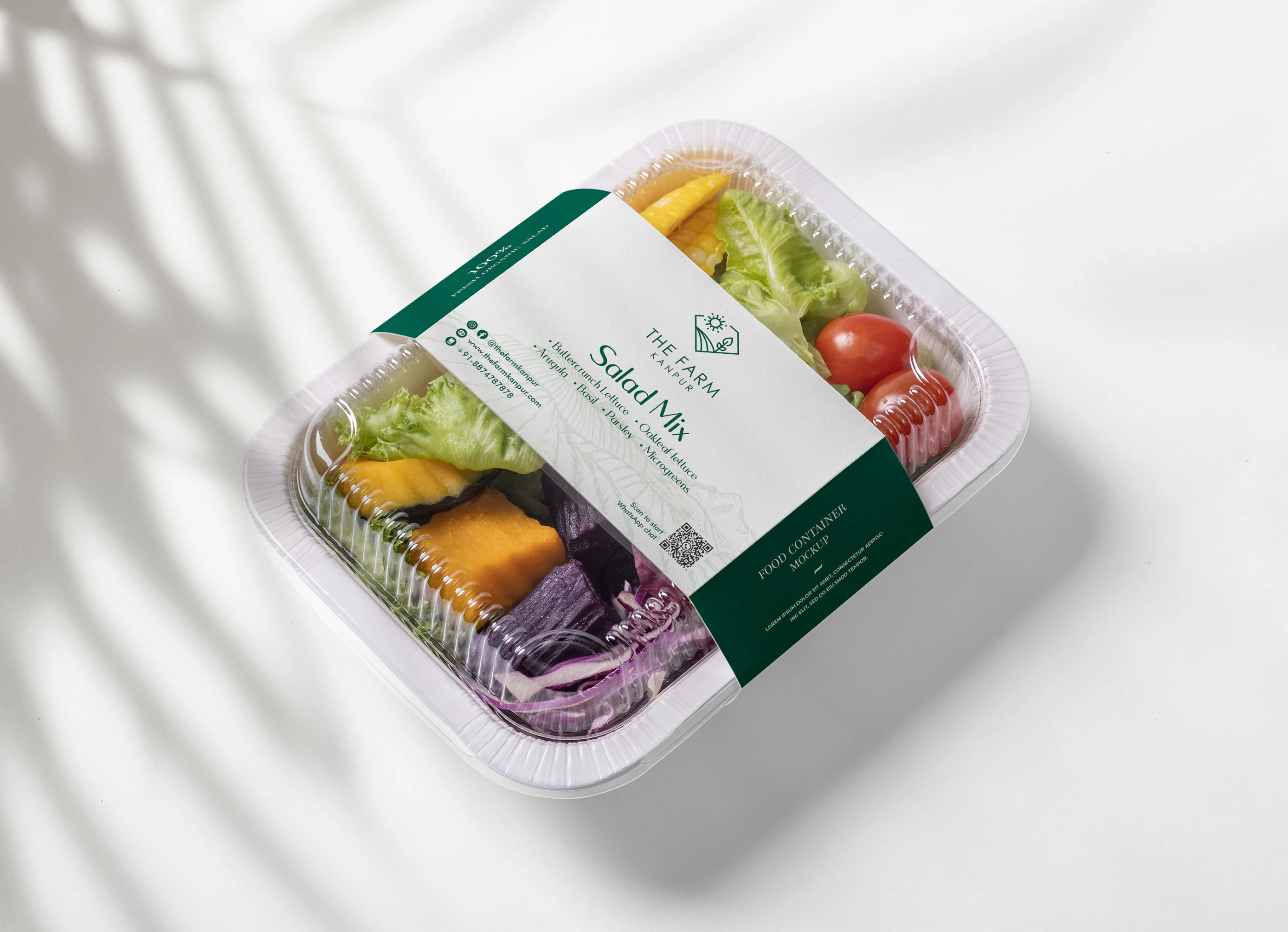 Salad Box Packaging