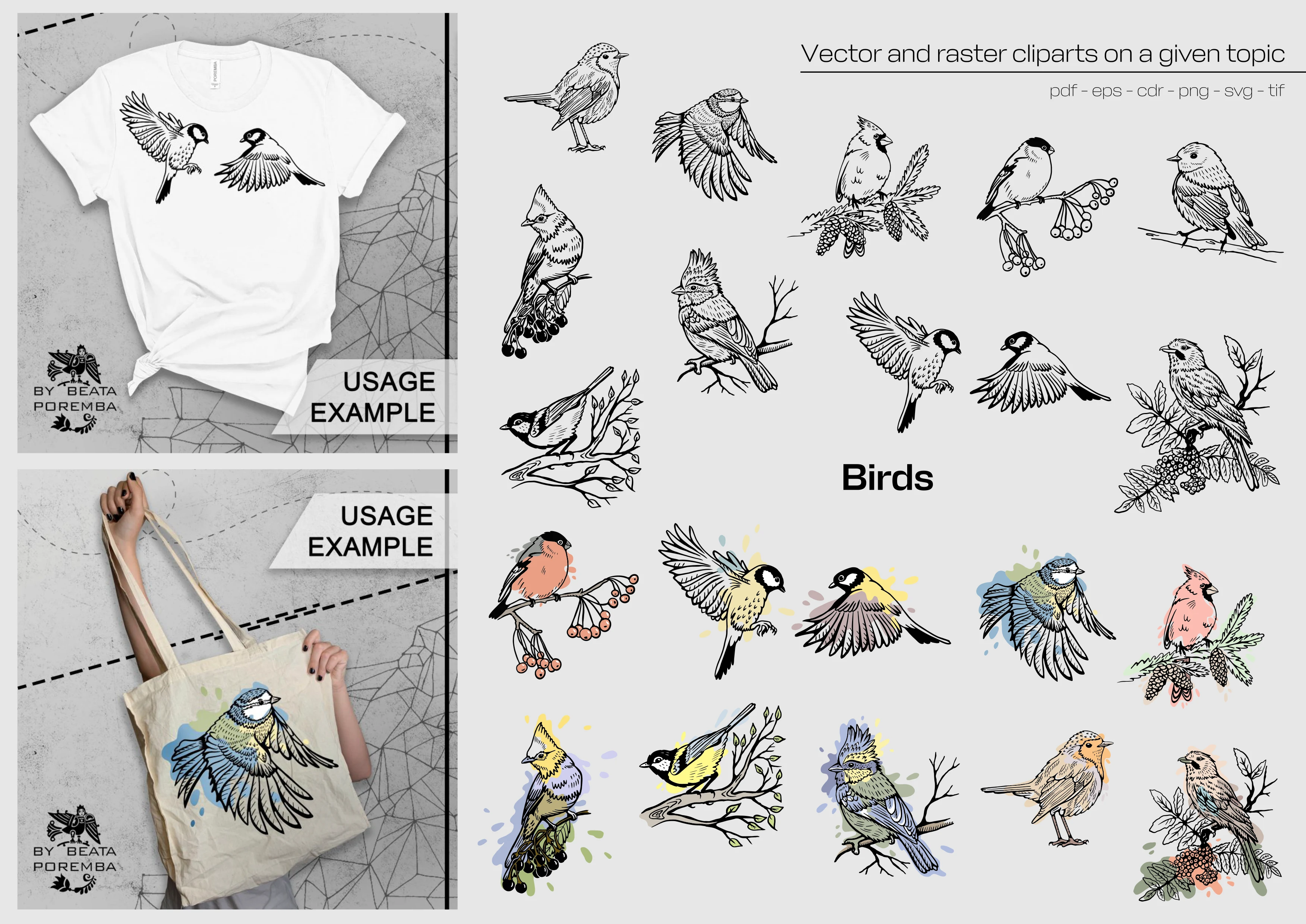 Merch design. Apparel. Birds. Creating illustrations and examples of how to use.