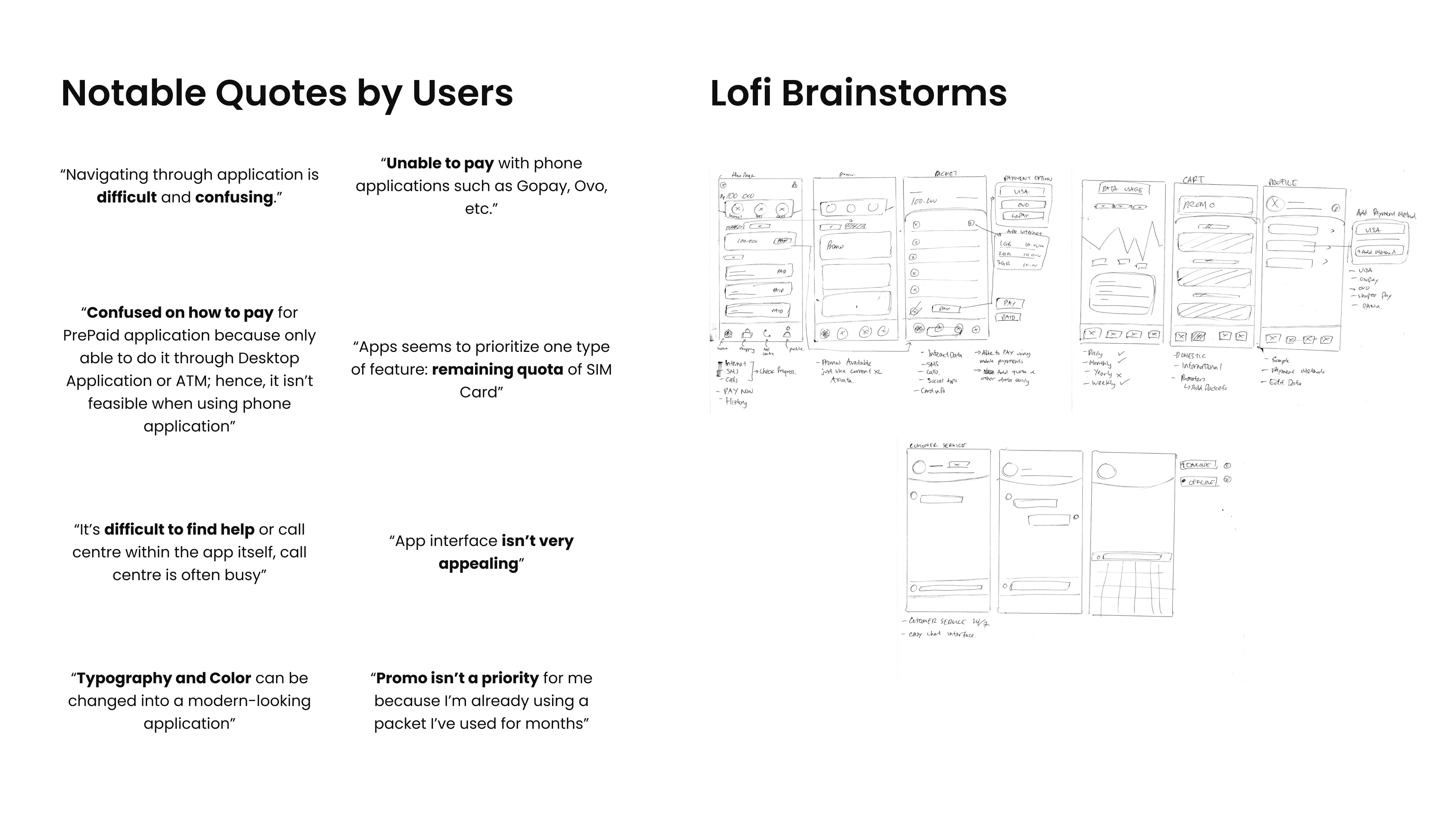 Notable Quotes from Target user & Lori Brainstorming of solutions