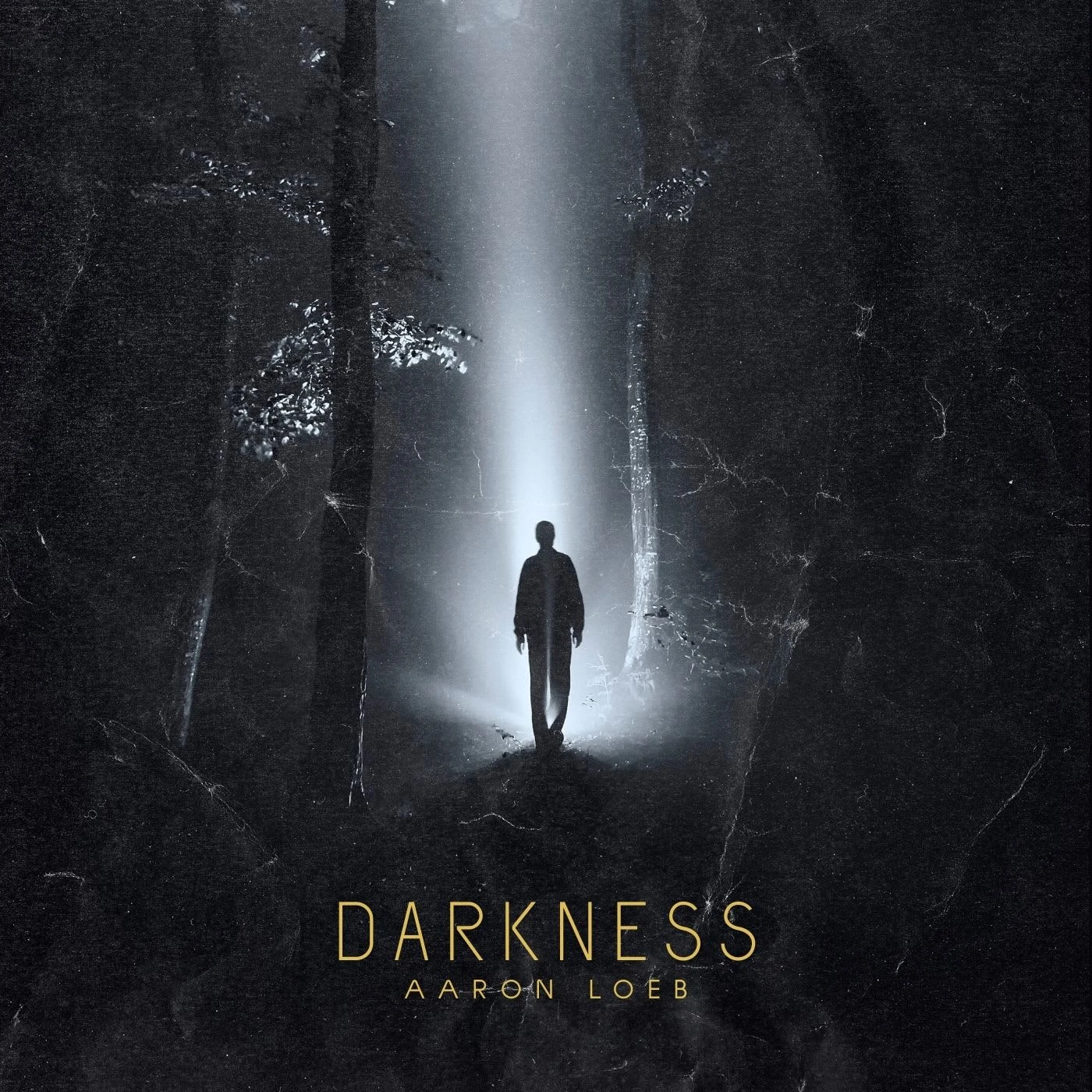 album cover darkness