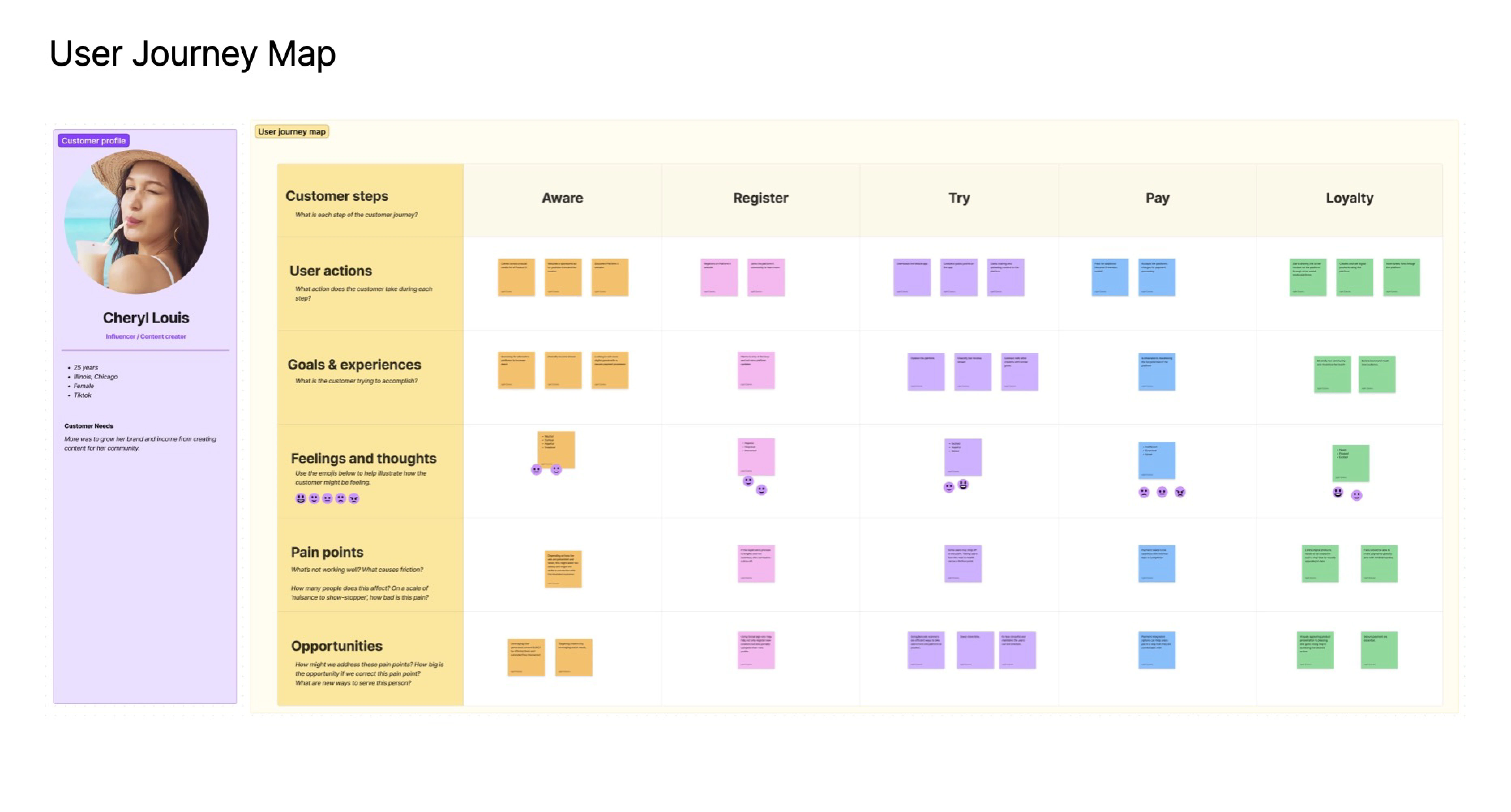 User journey map