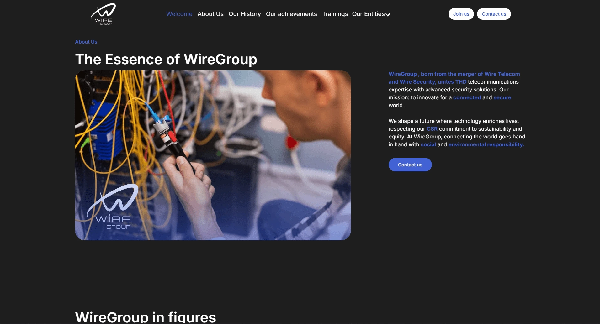 Wire group Vision