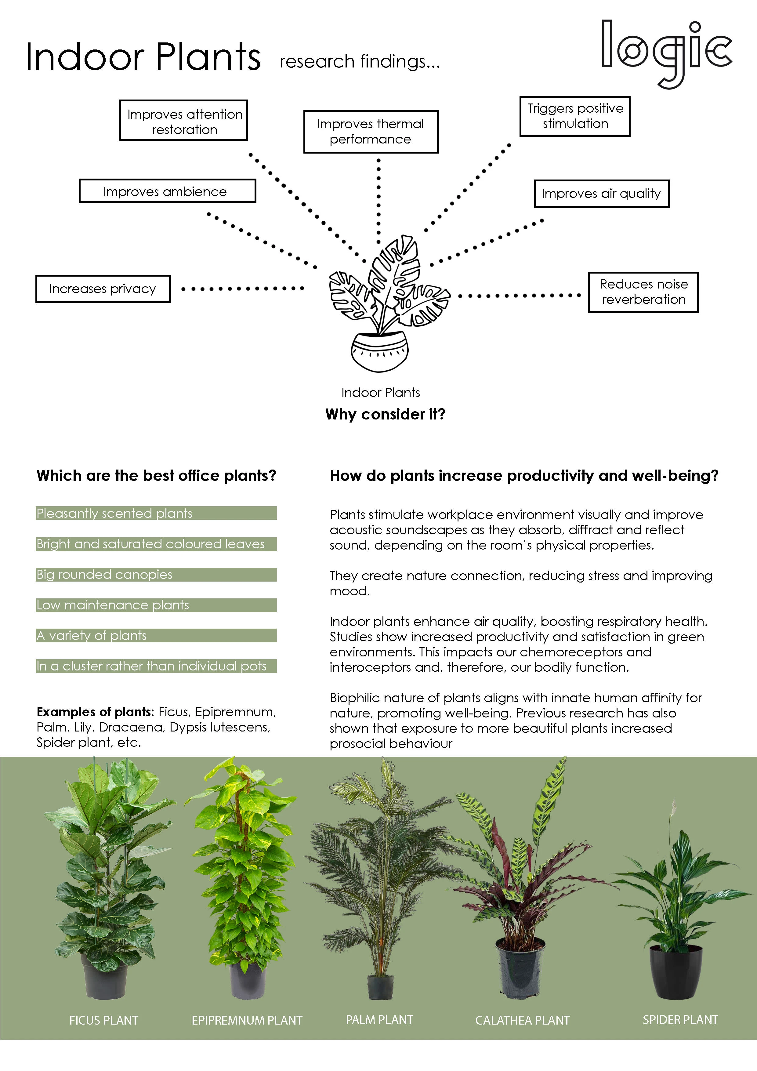 (Infographic Report on Wellbeing Strategies: Plants)