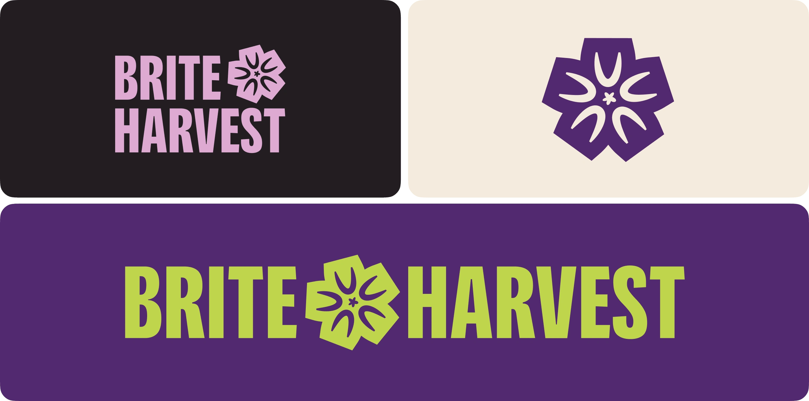 Logo Variations