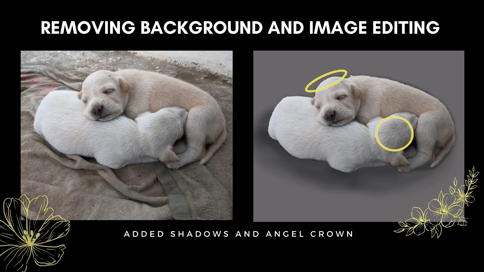 Image Manipulation (Adding things to photos)