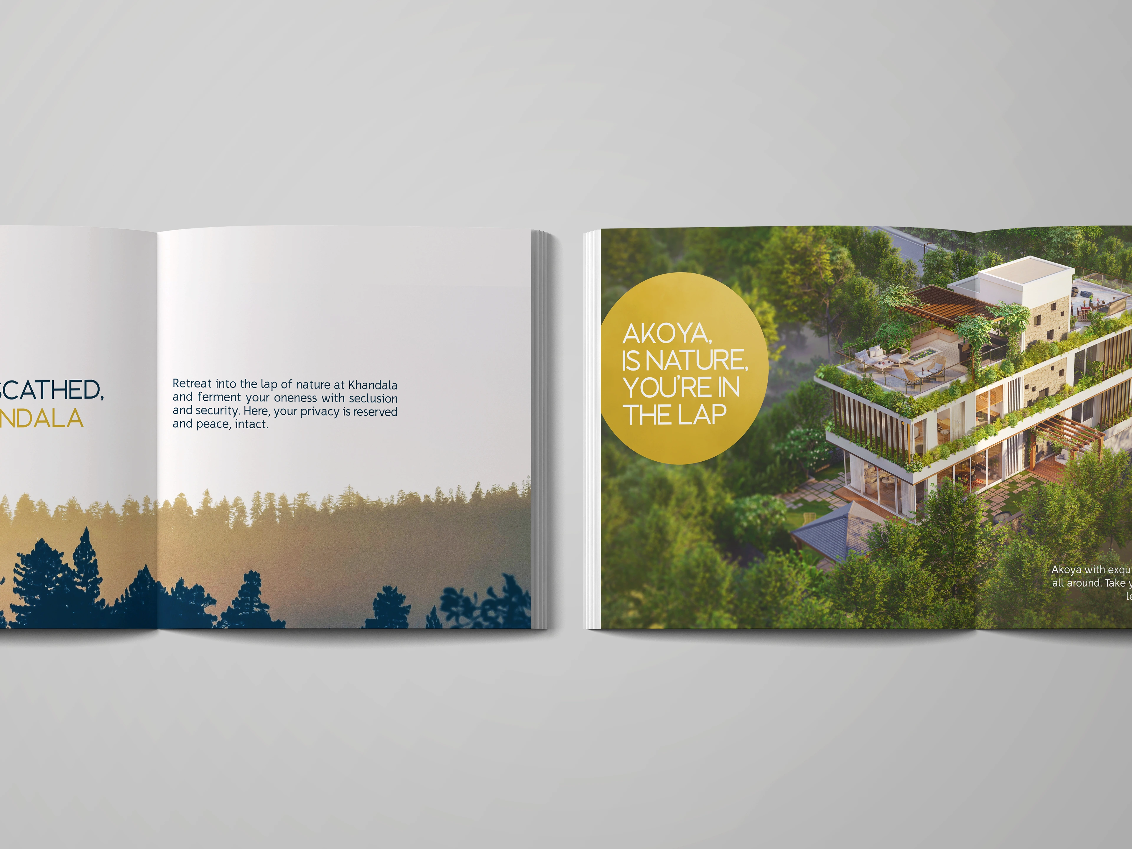 Brochure Design