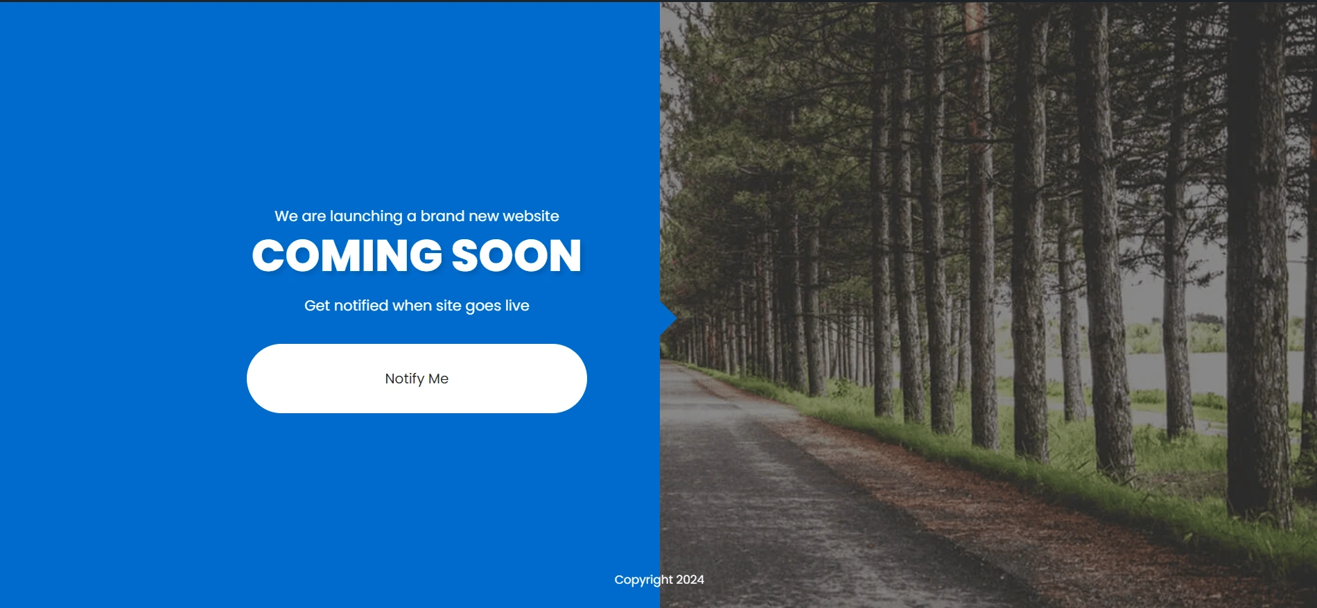 Forest Road Landing Page With Notify Button for Full Site Launch 