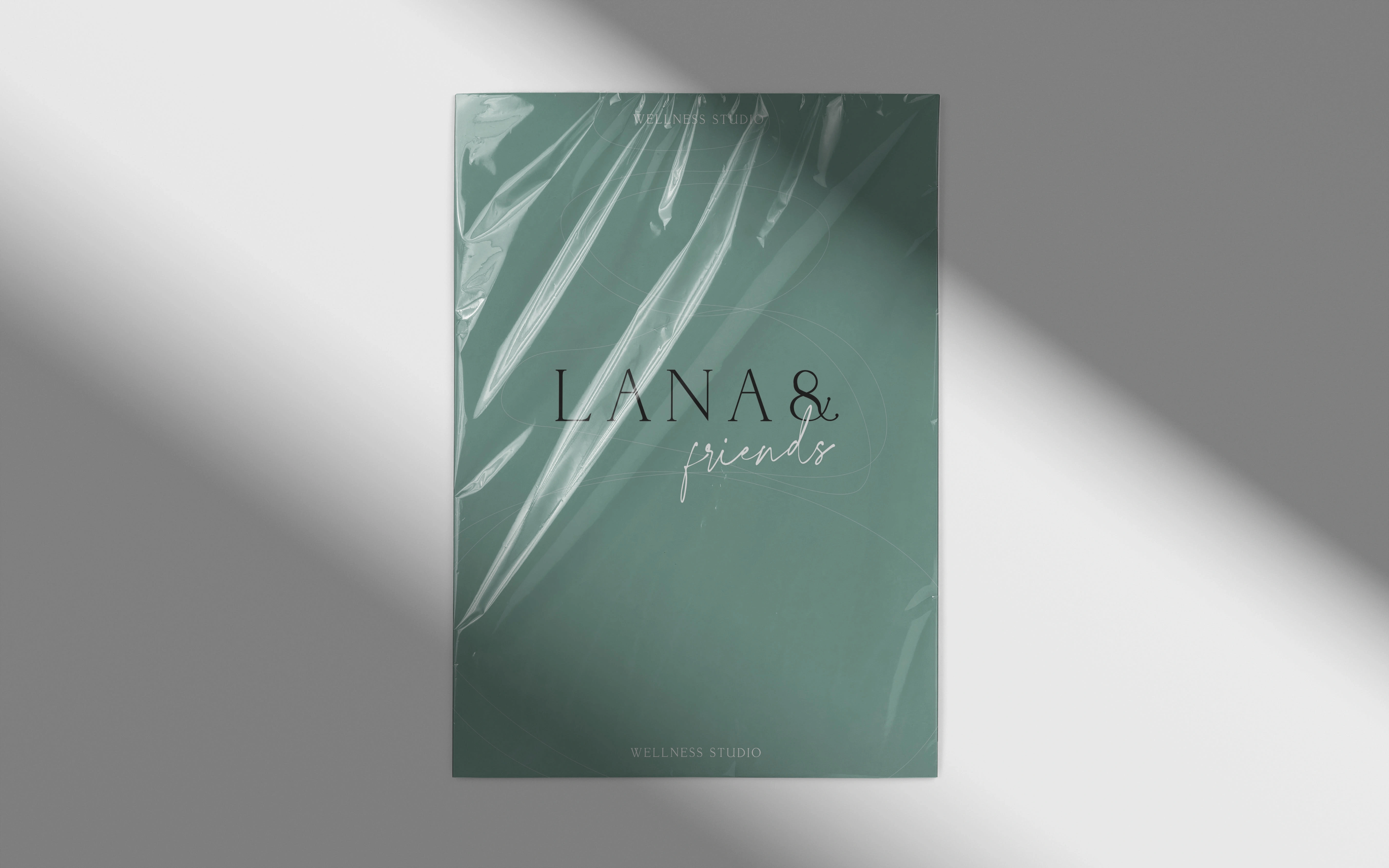 Lana & Friends - Flyer Design