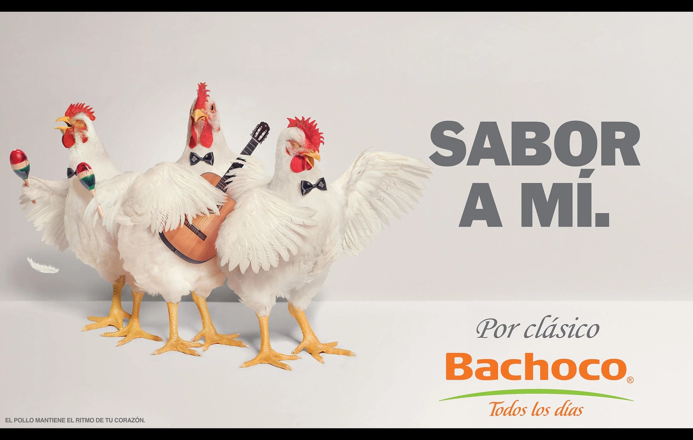 BACHOCO - Chiken and eggs