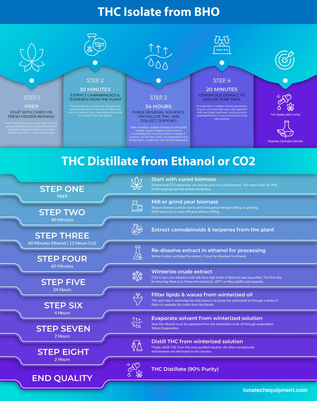 Digital/Emailable Infographic