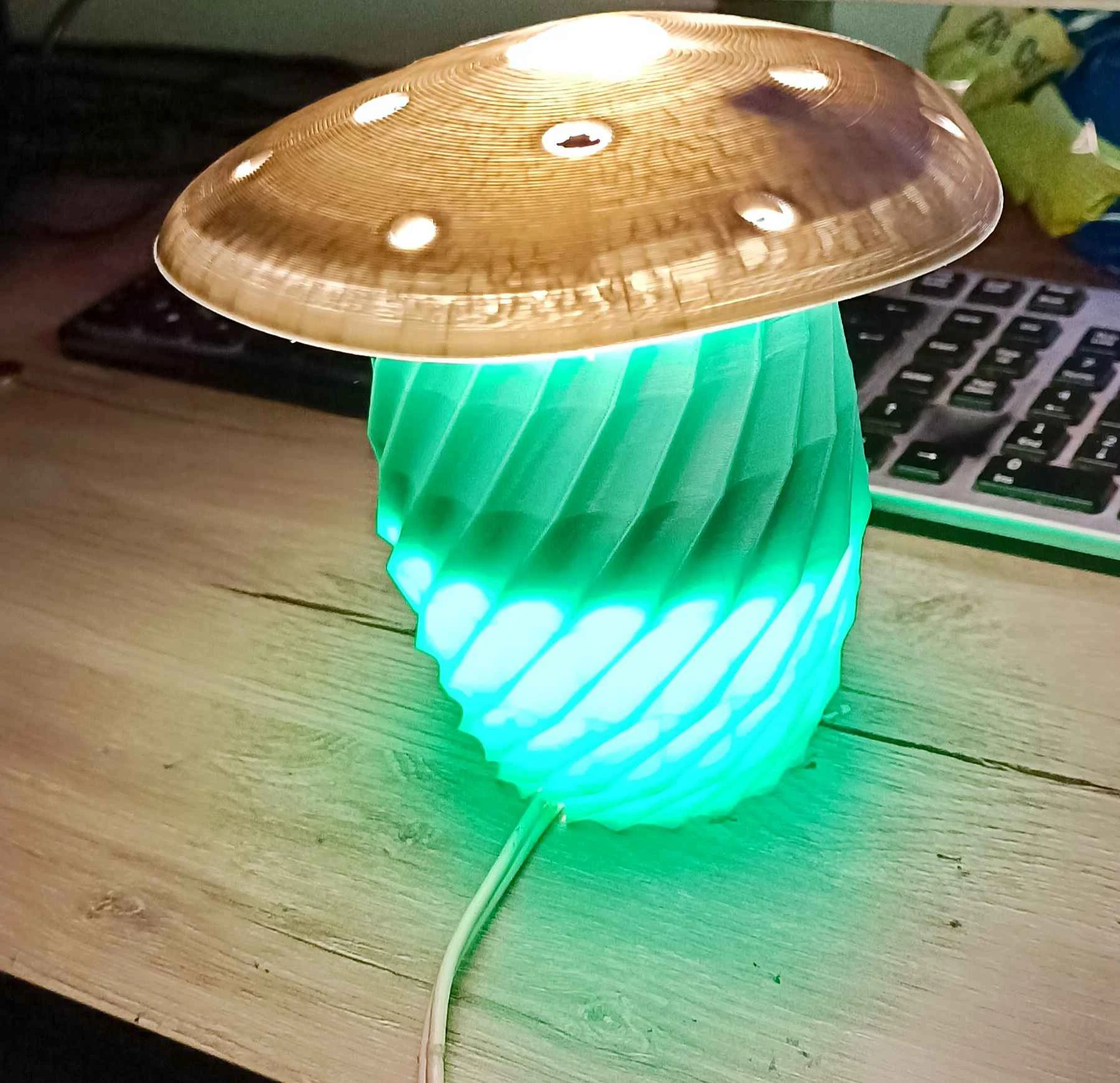 Completed lamp