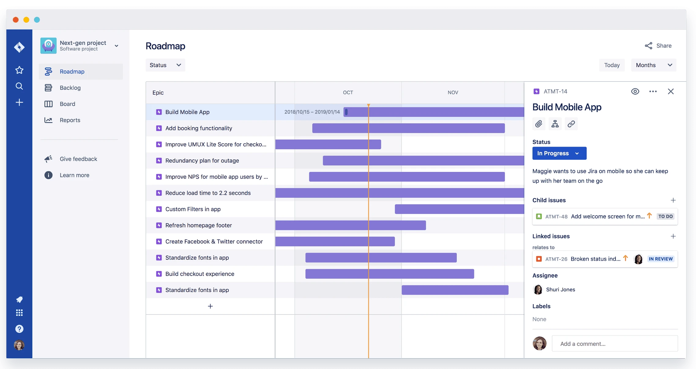 Project Roadmap
