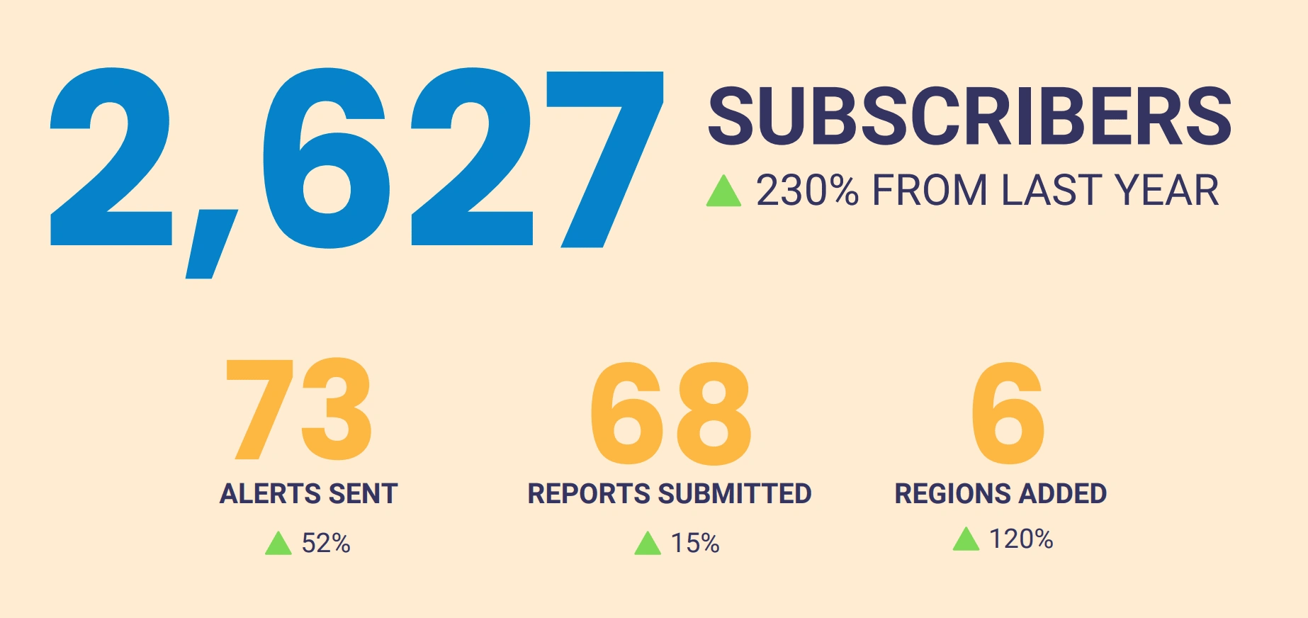 Simple layout of summary figures for the organization's fiscal year results.