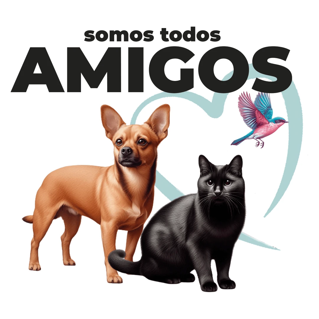 Amigos print