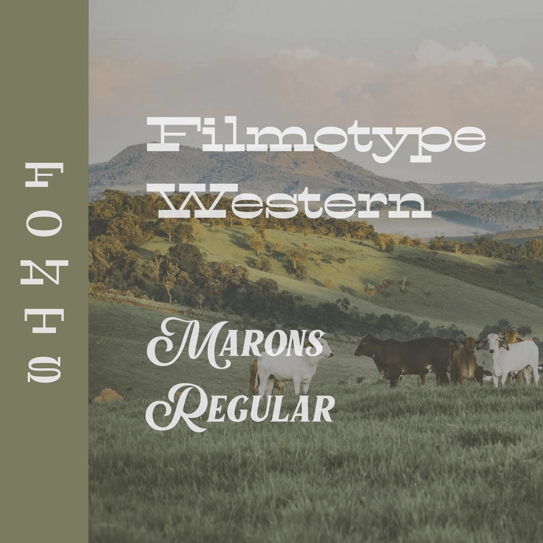 The carefully selected fonts, Filmotype Western and Marons Regular, blend vintage Western charm with modern readability for a distinct brand identity.