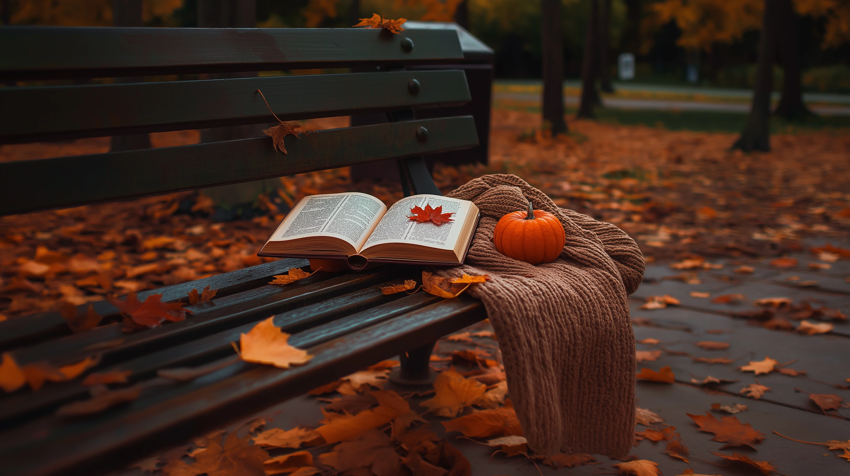 a serene park bench in autumn