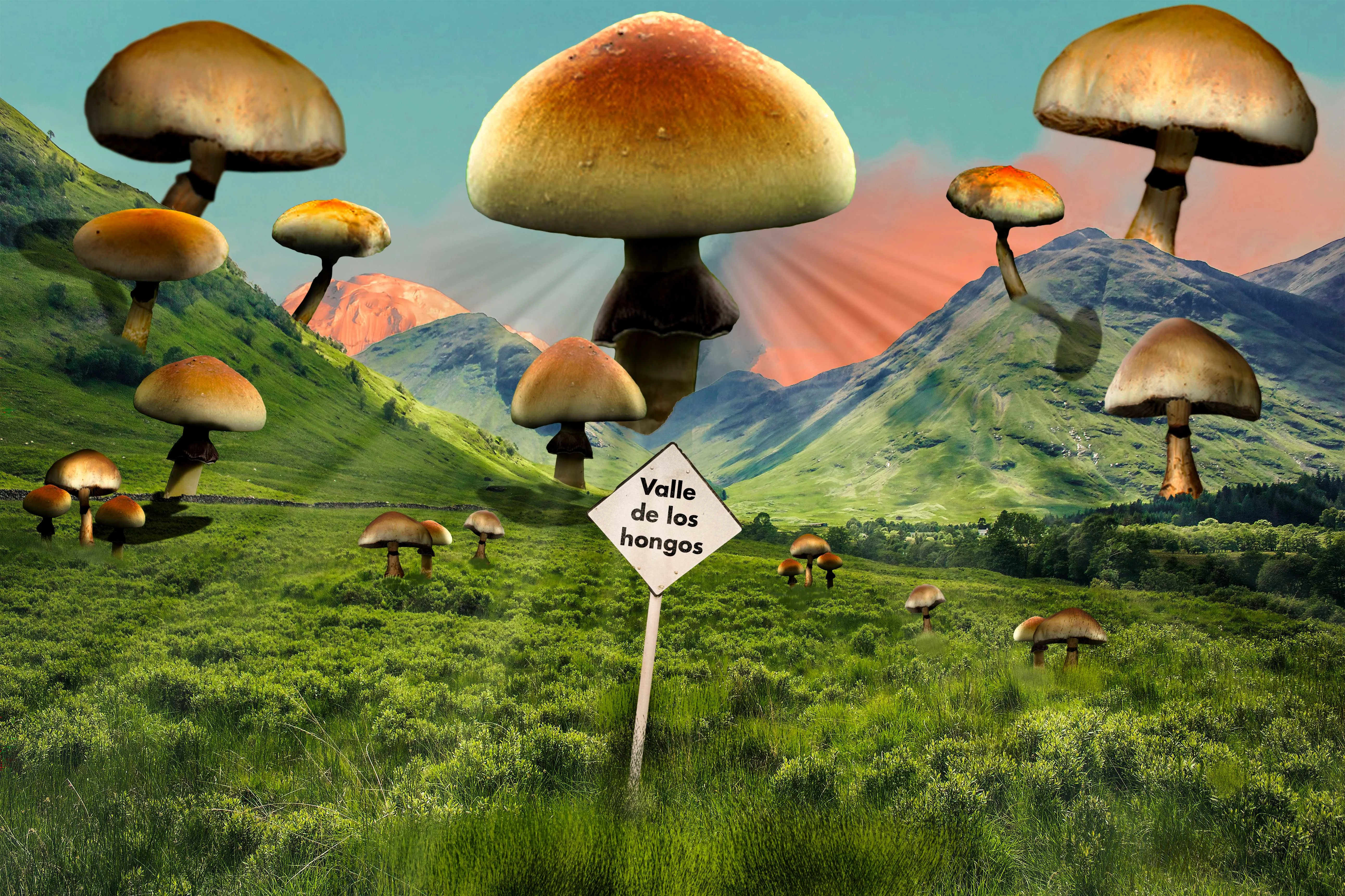 Image done for thematic event. "mushroom valley" 