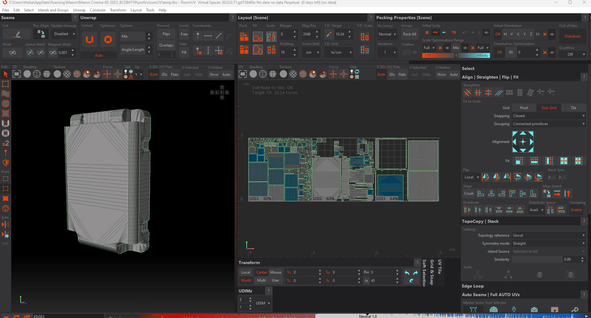 UV in RIZOM