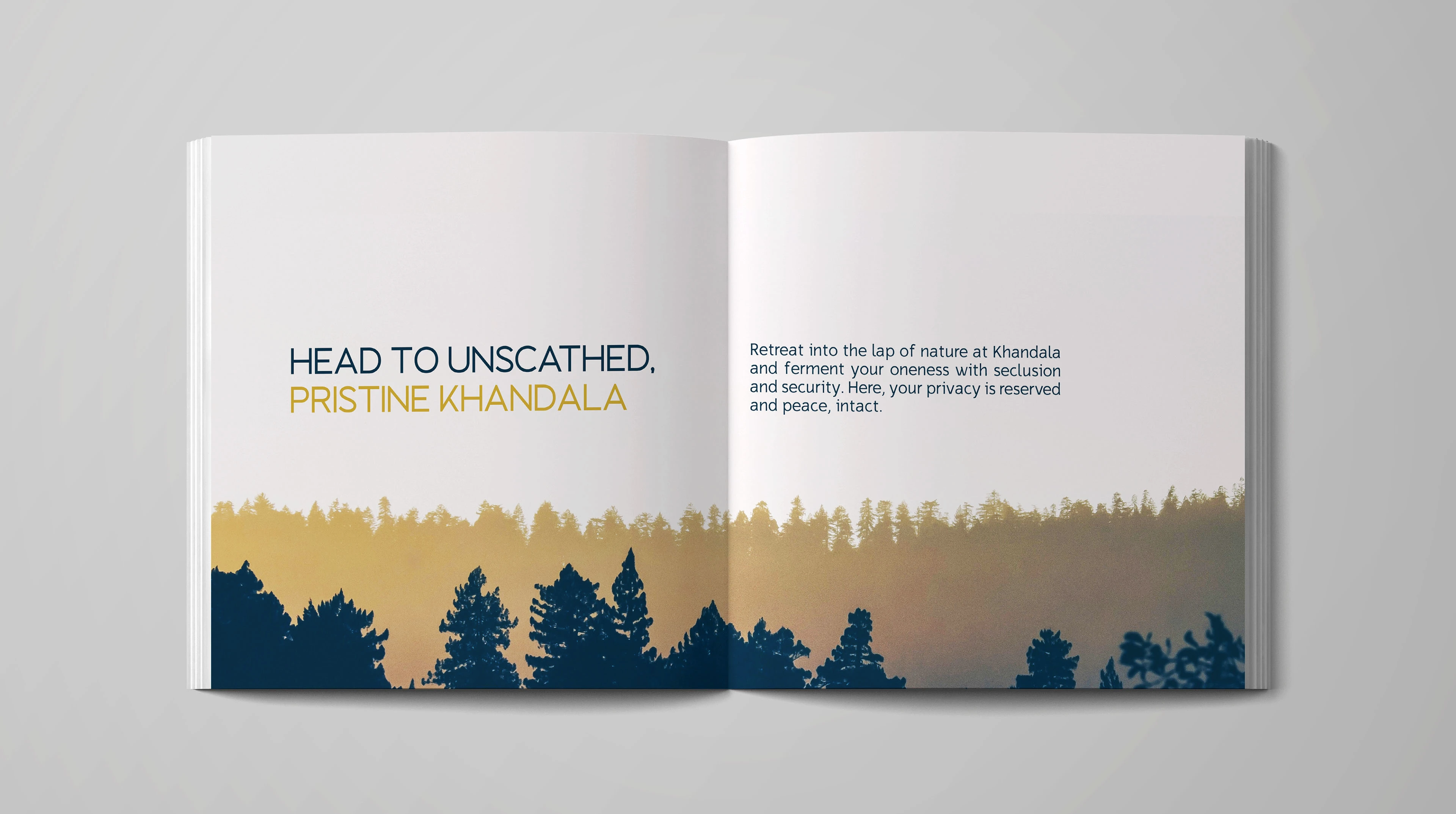 Brochure Design