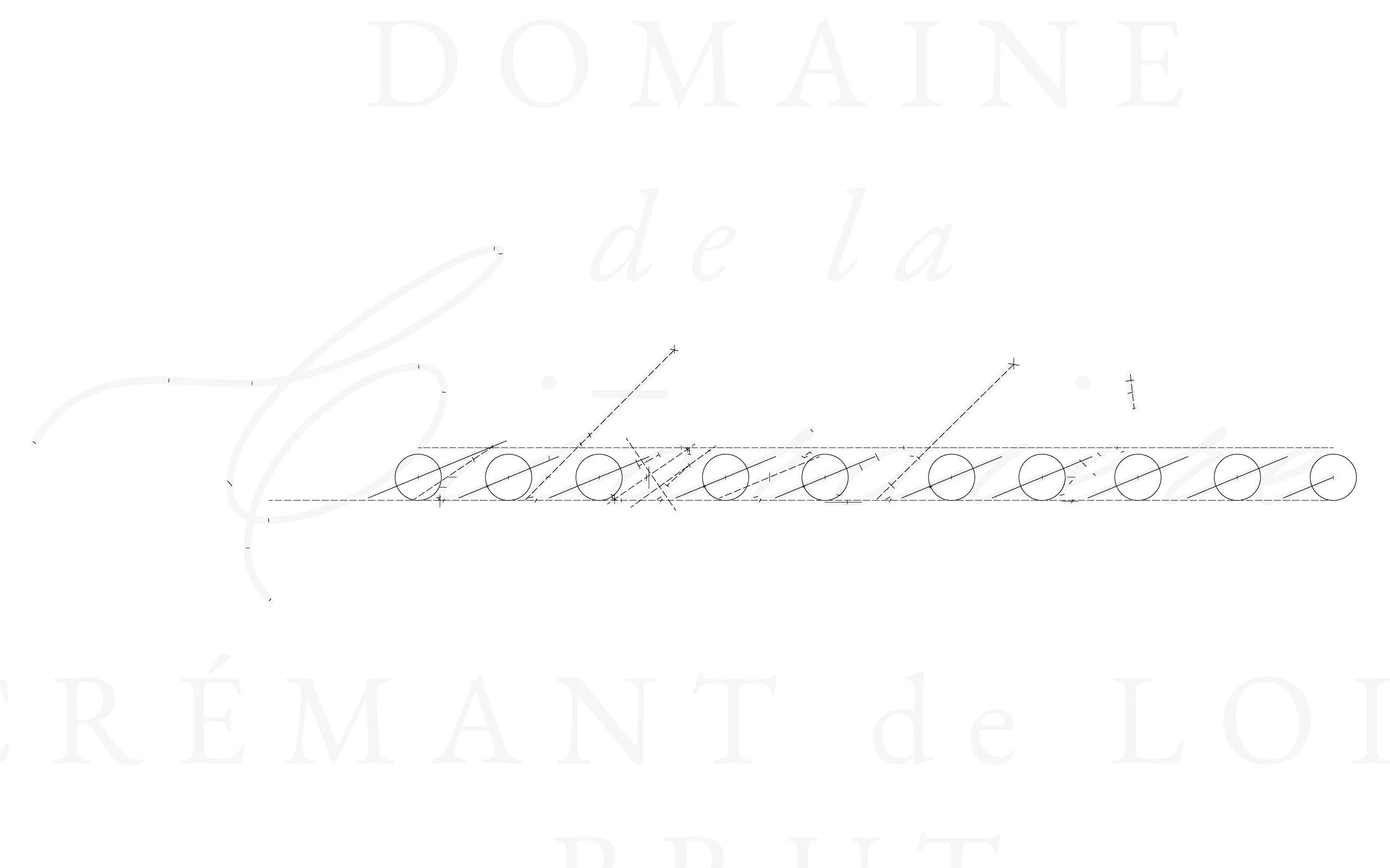 Citardière — Primary Logotype (construction)