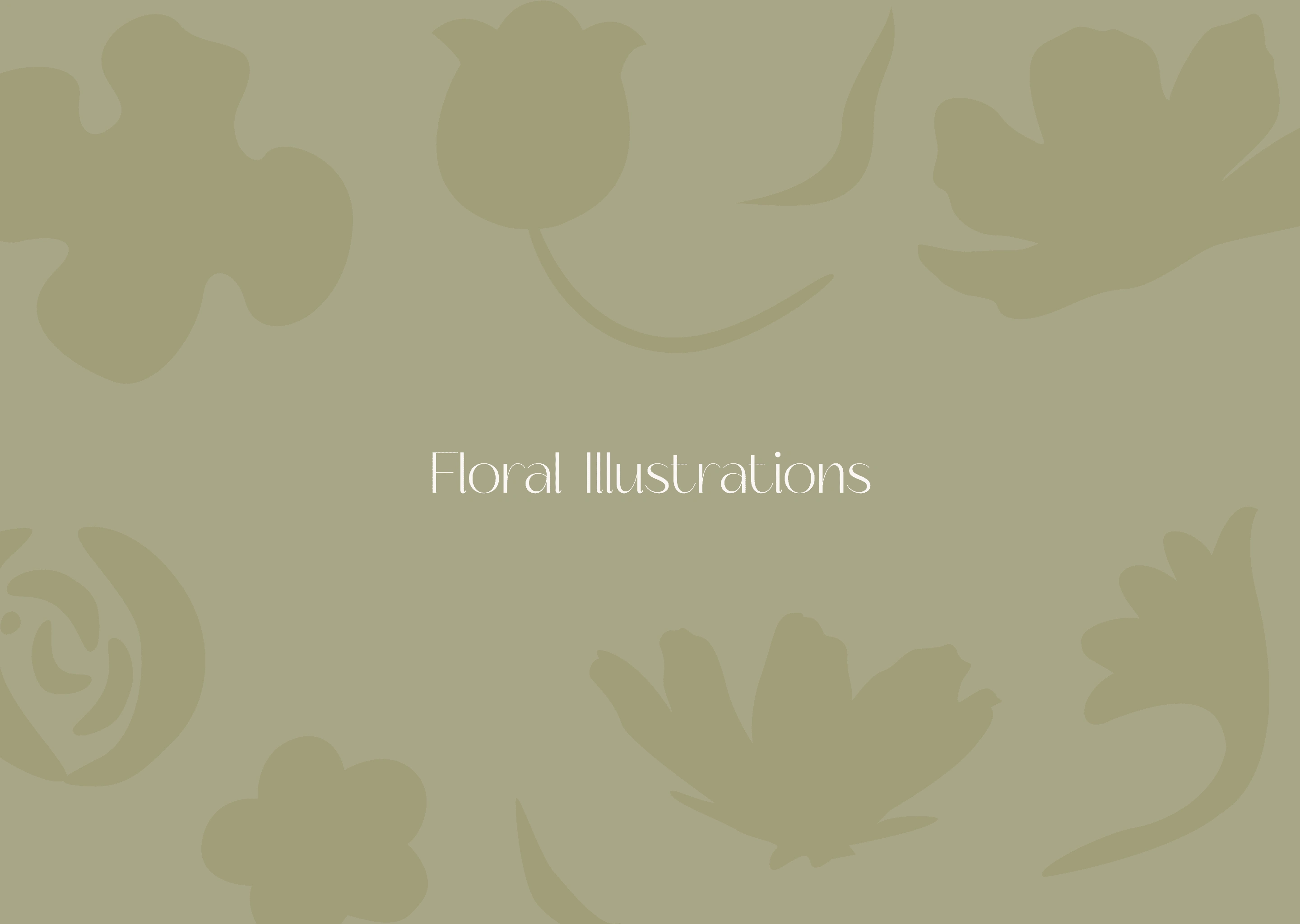 floral illustrations