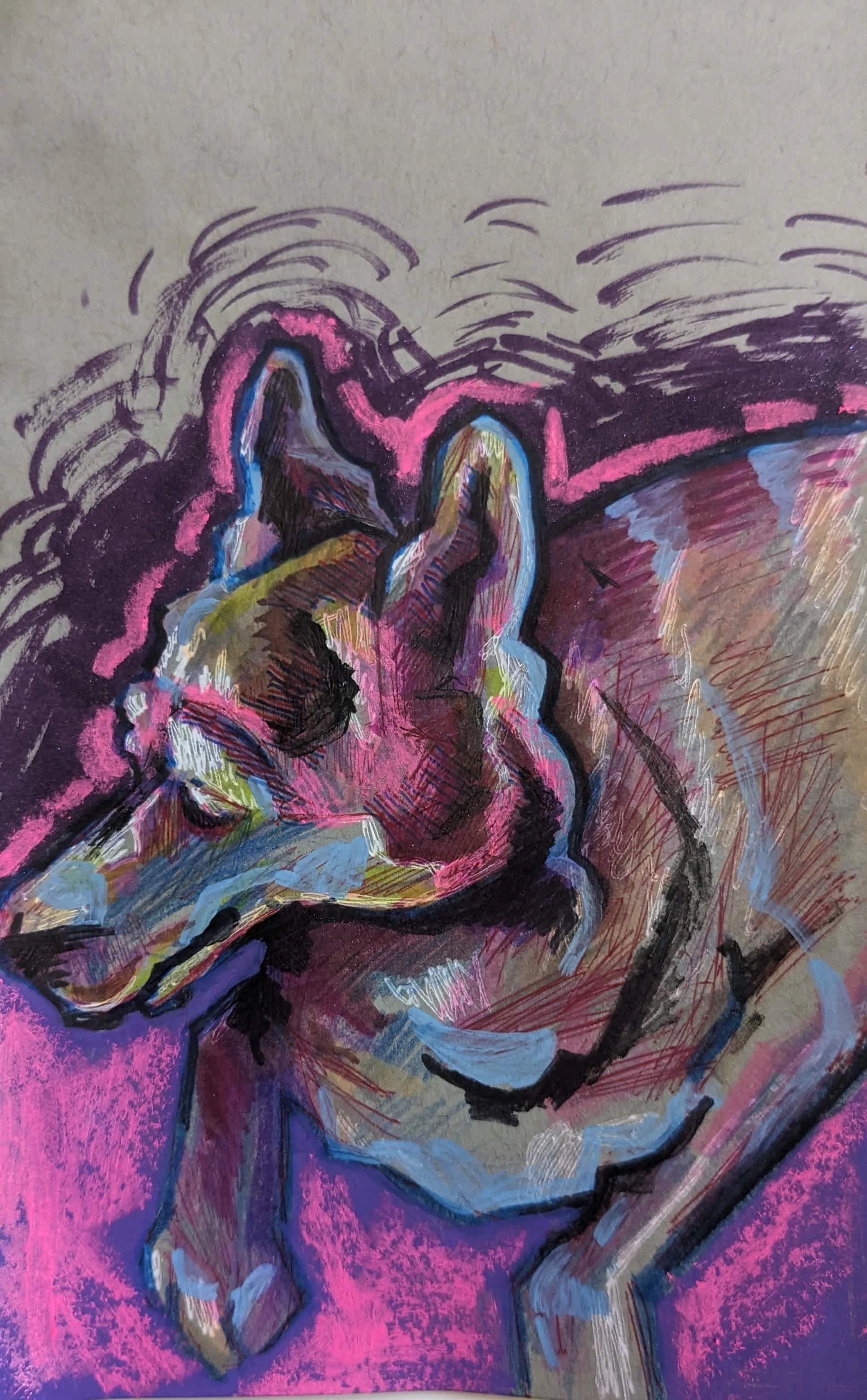 Colorful Dog