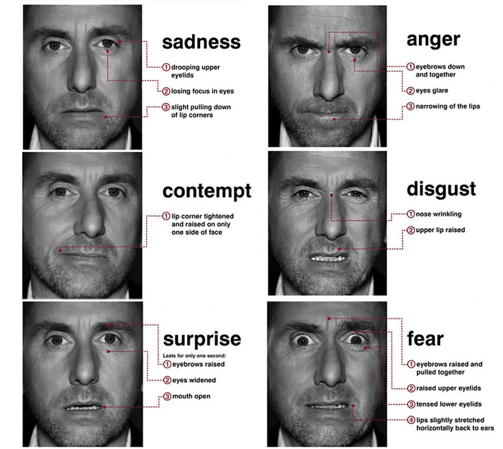 Universal Micro Expressions