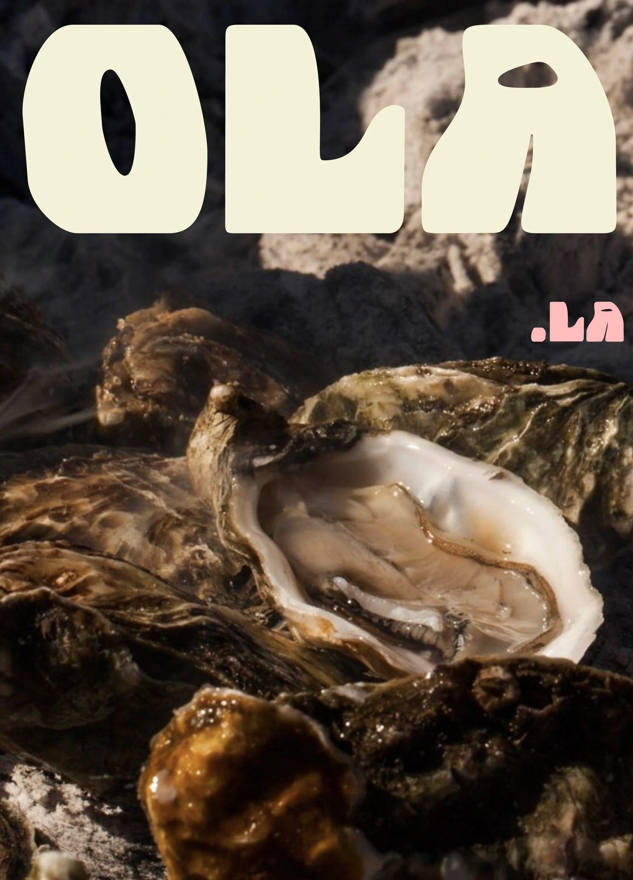 Brand Poster 03 - Ola.la