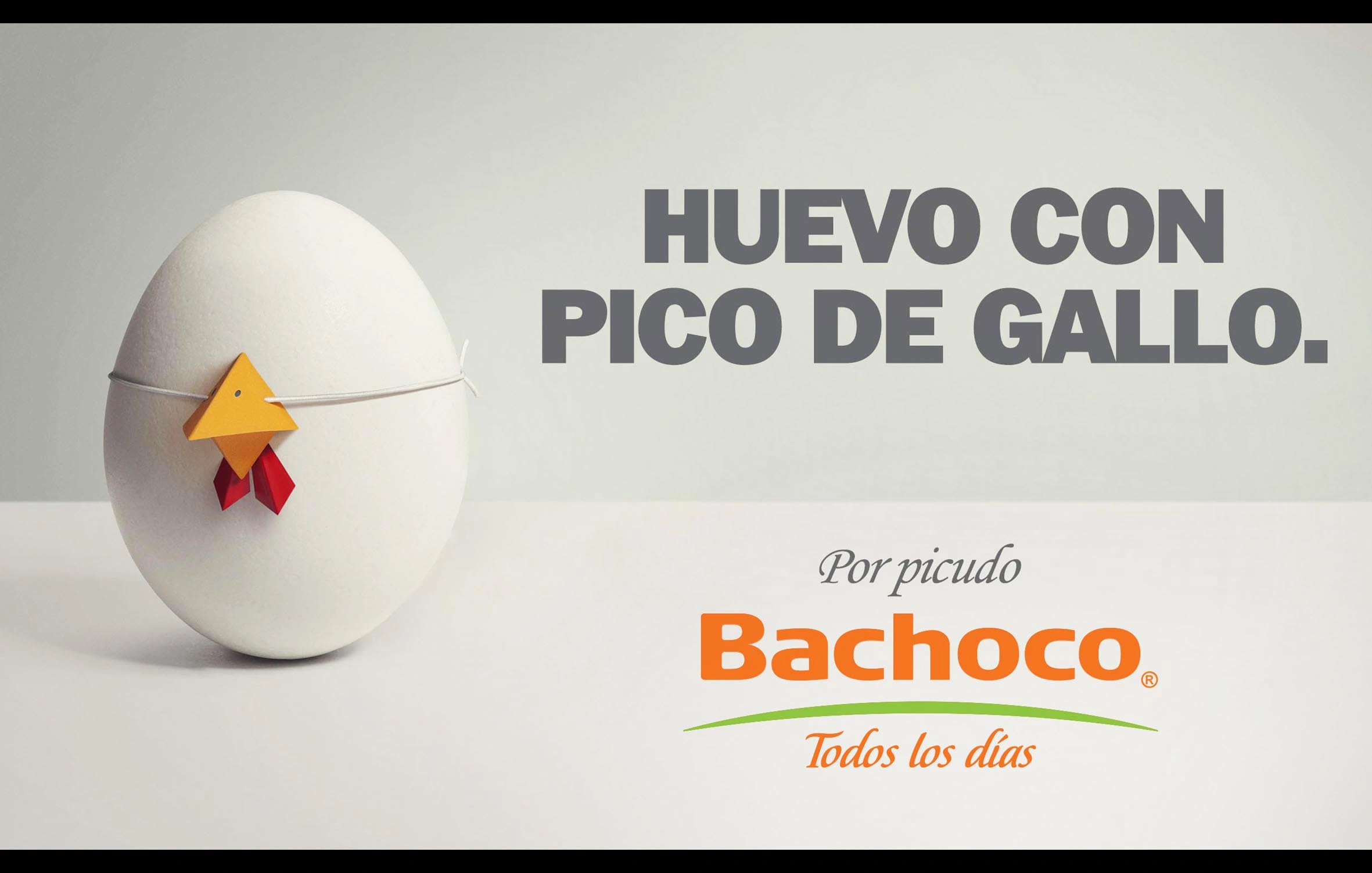 BACHOCO - Chiken and eggs