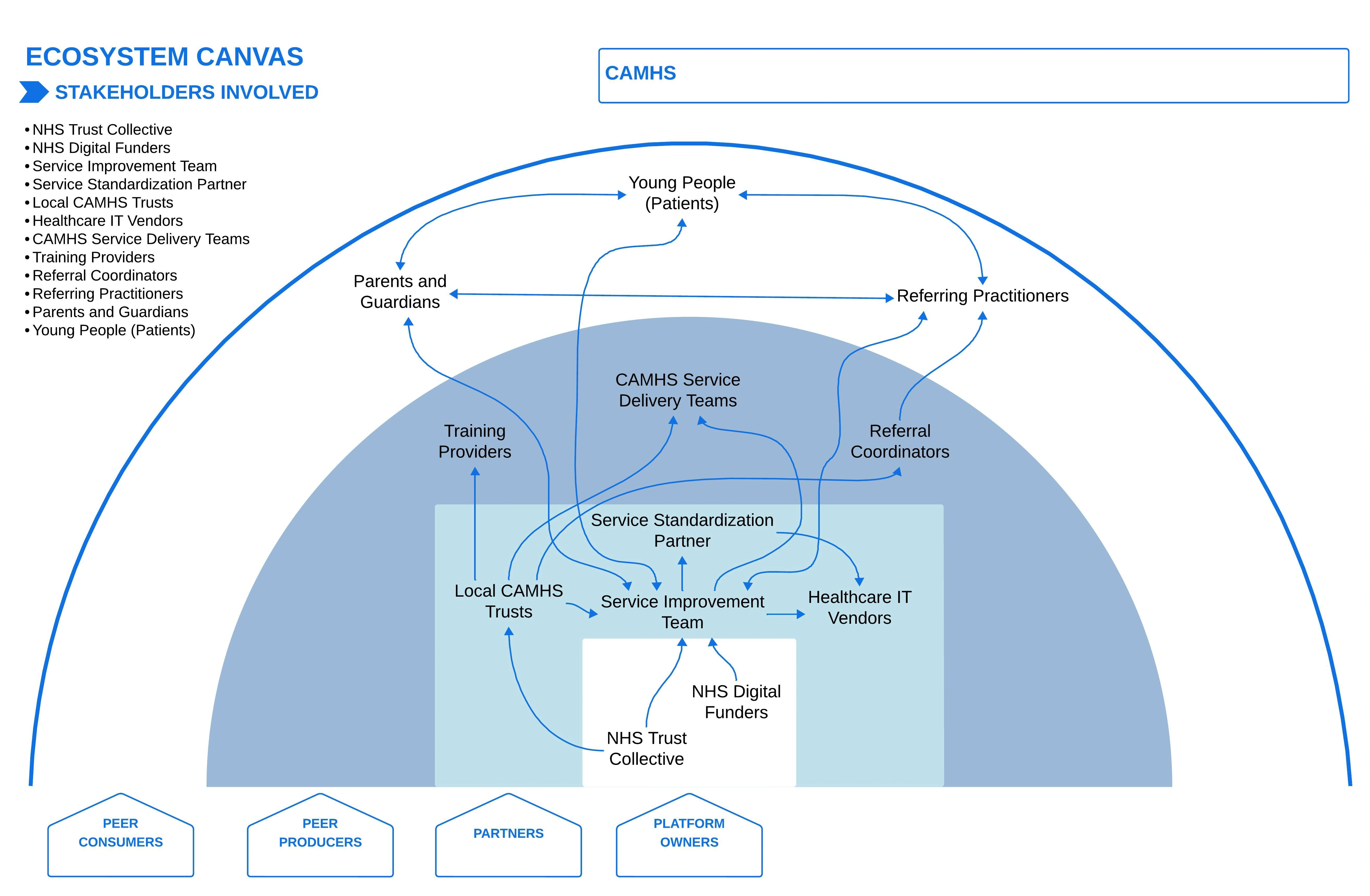 Ecosystem map co-designed with CMHAS delivery team representatives in workshop