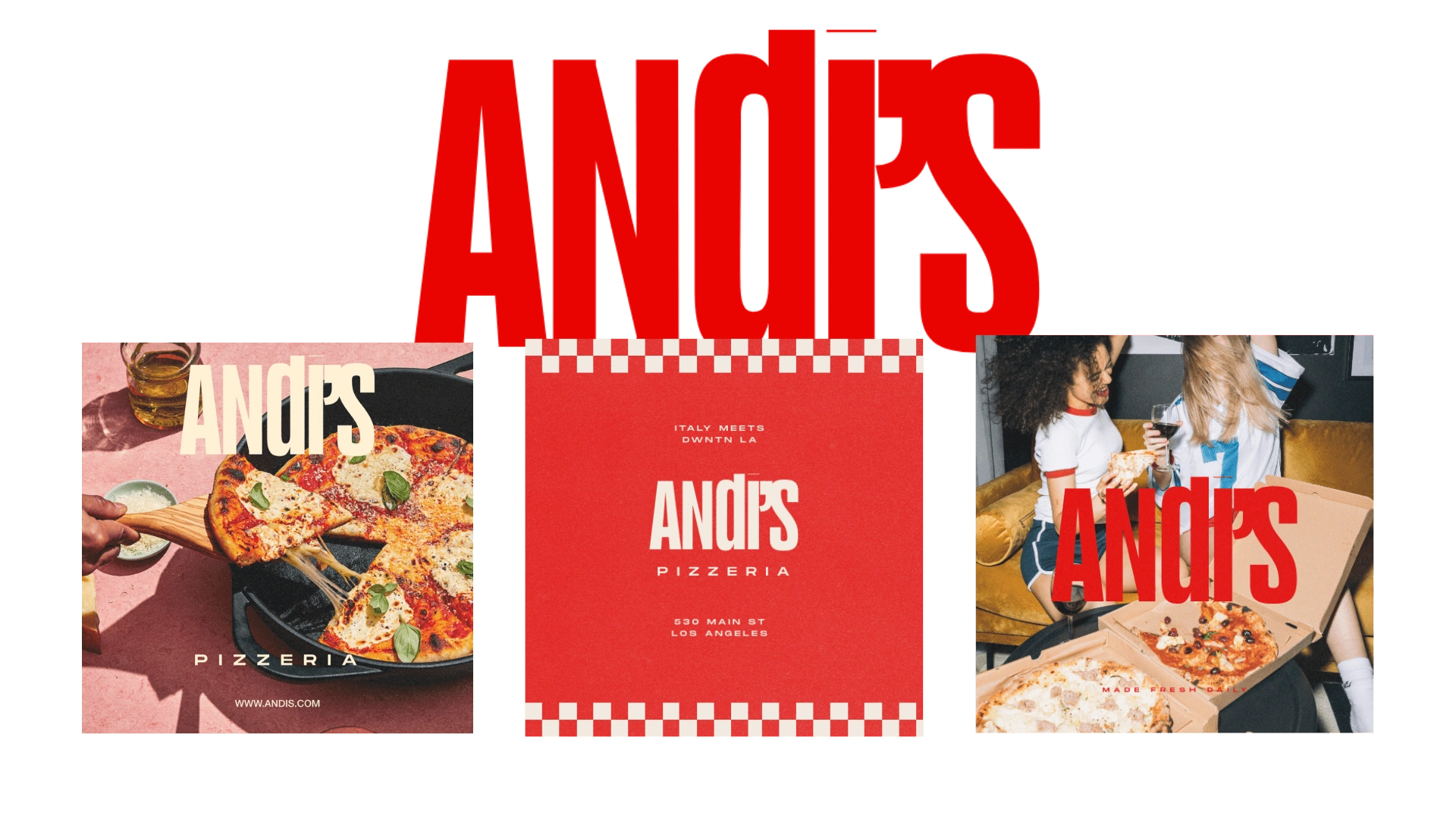 ANDI'S Primary Logo + Brand Imagery