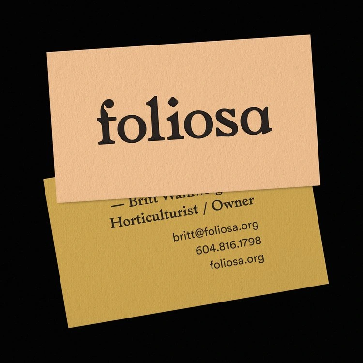 Branding, Logo Design for plant-care business, Foliosa